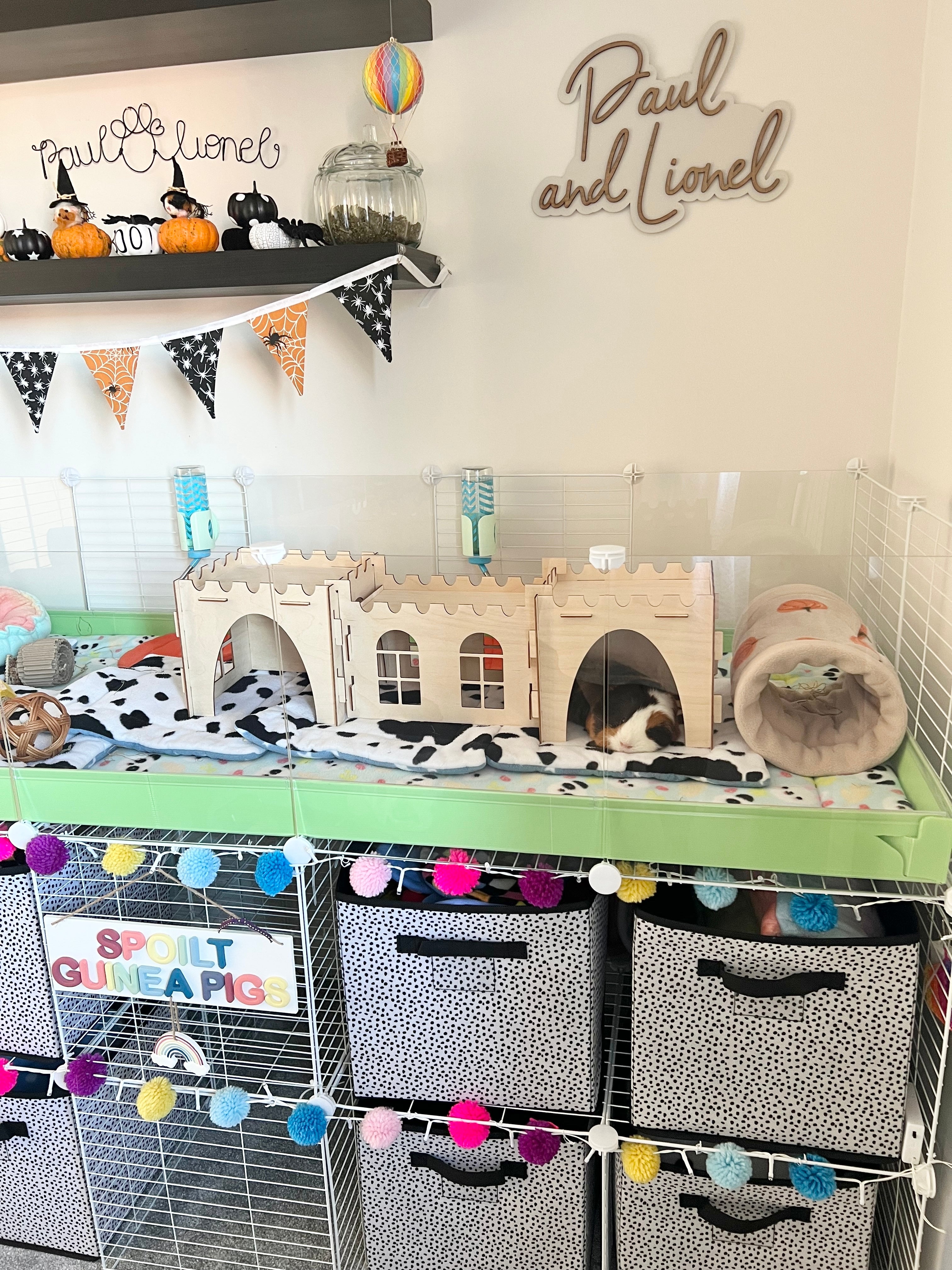 Guinea Pig Castle