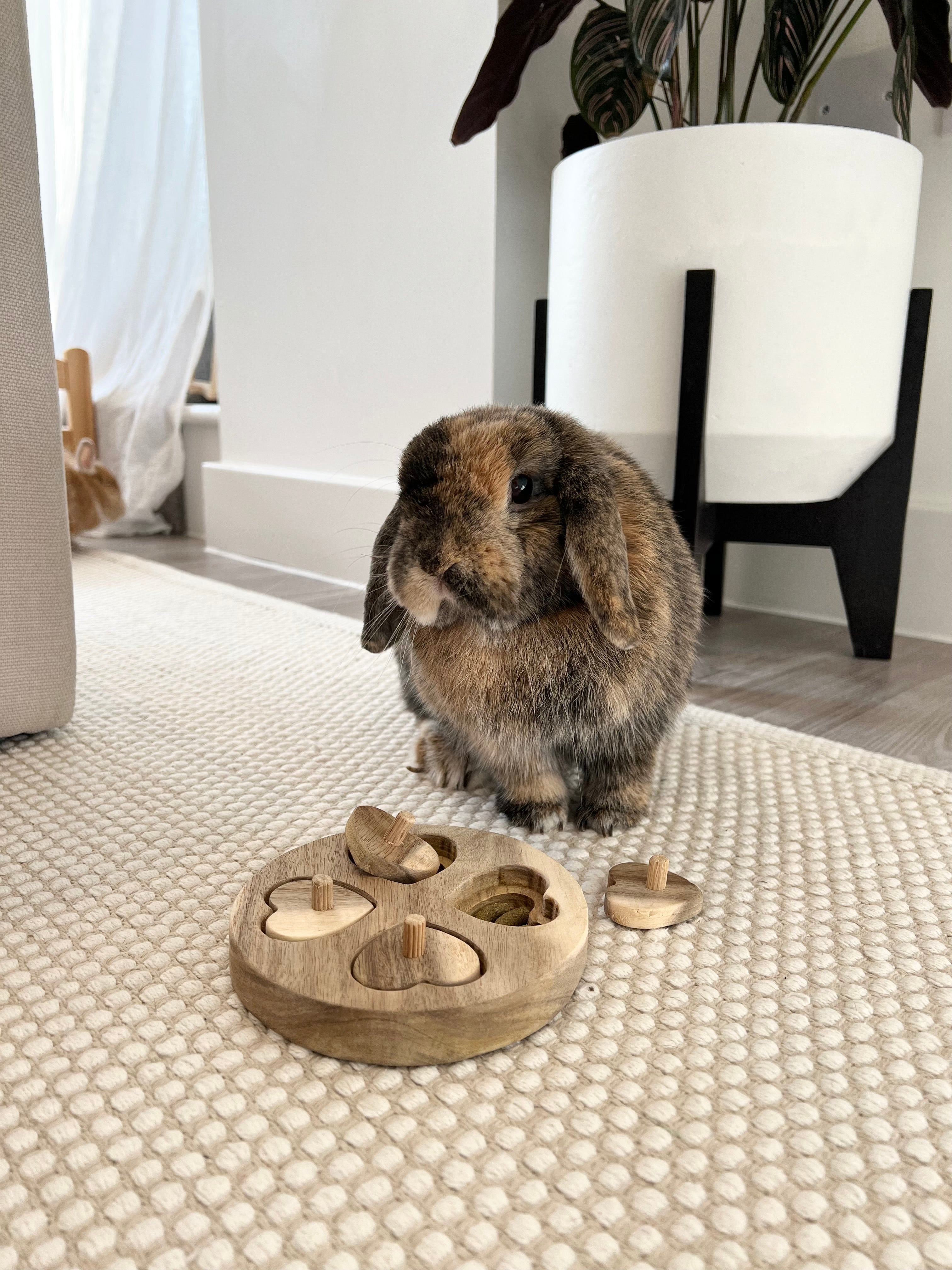 Heart Puzzle Toy