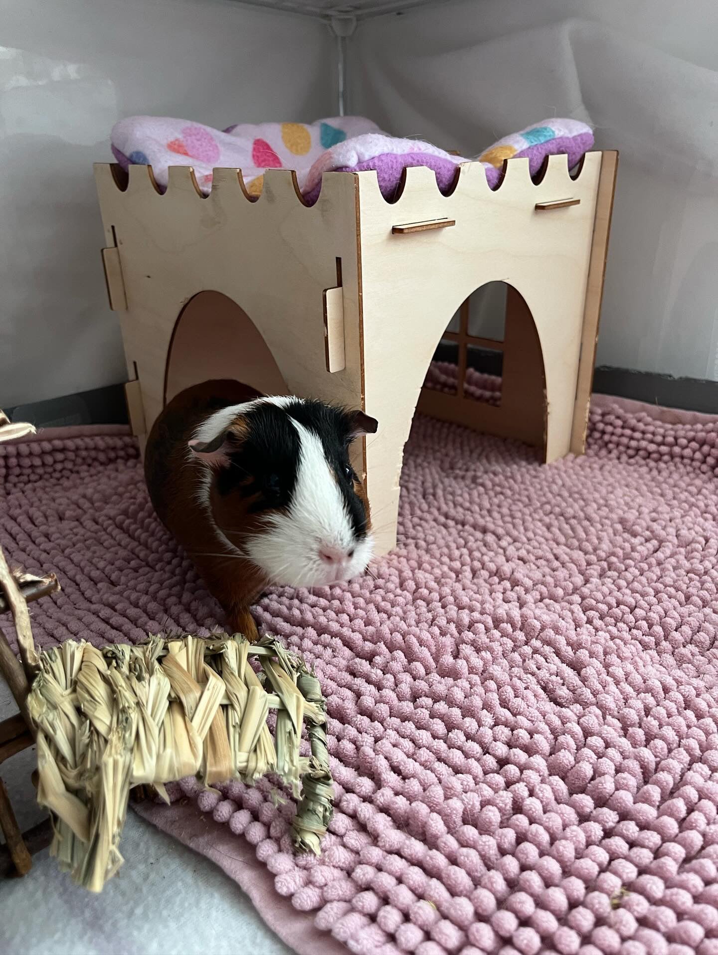 Guinea Pig Castle