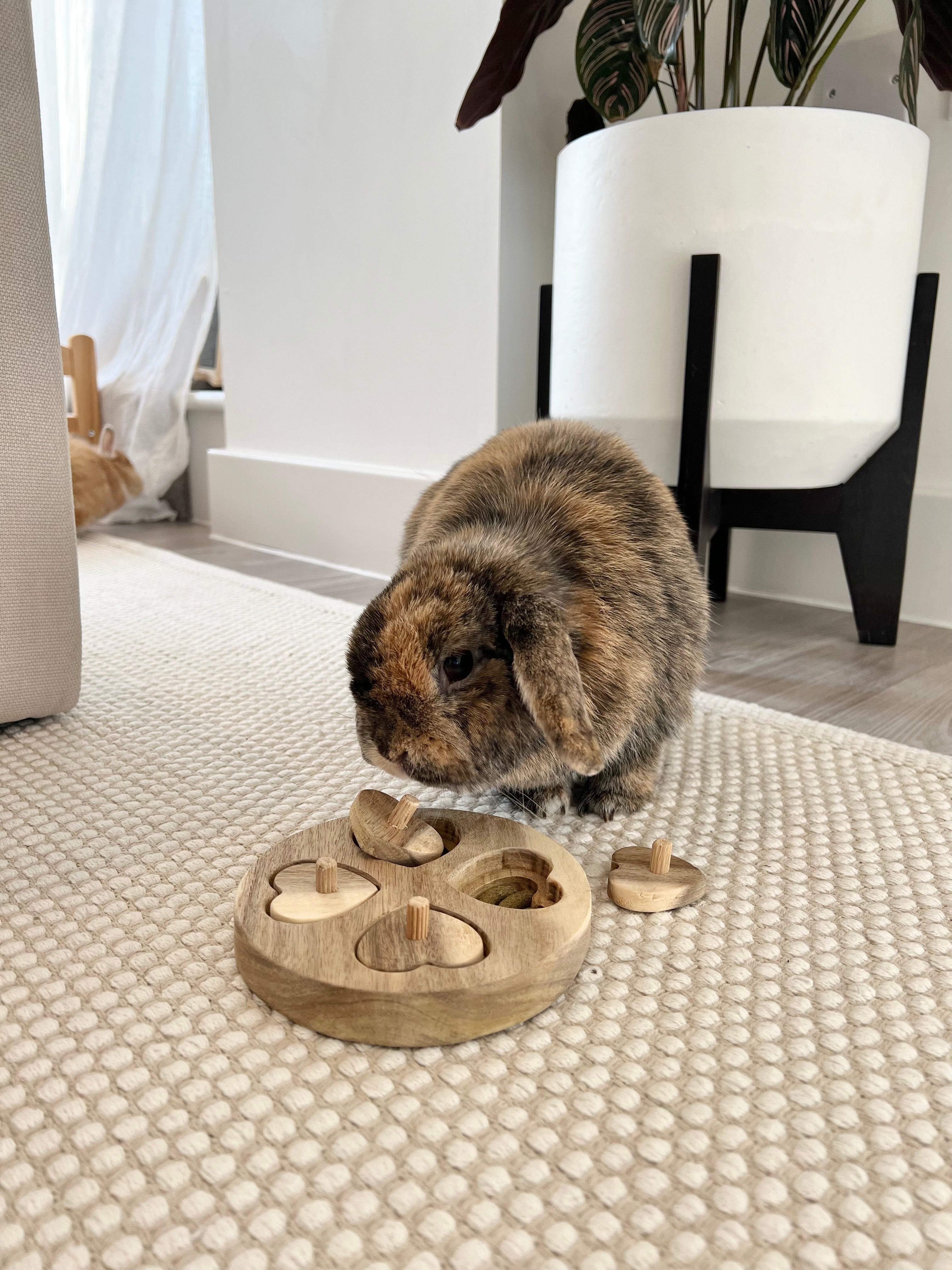 Heart Puzzle Toy