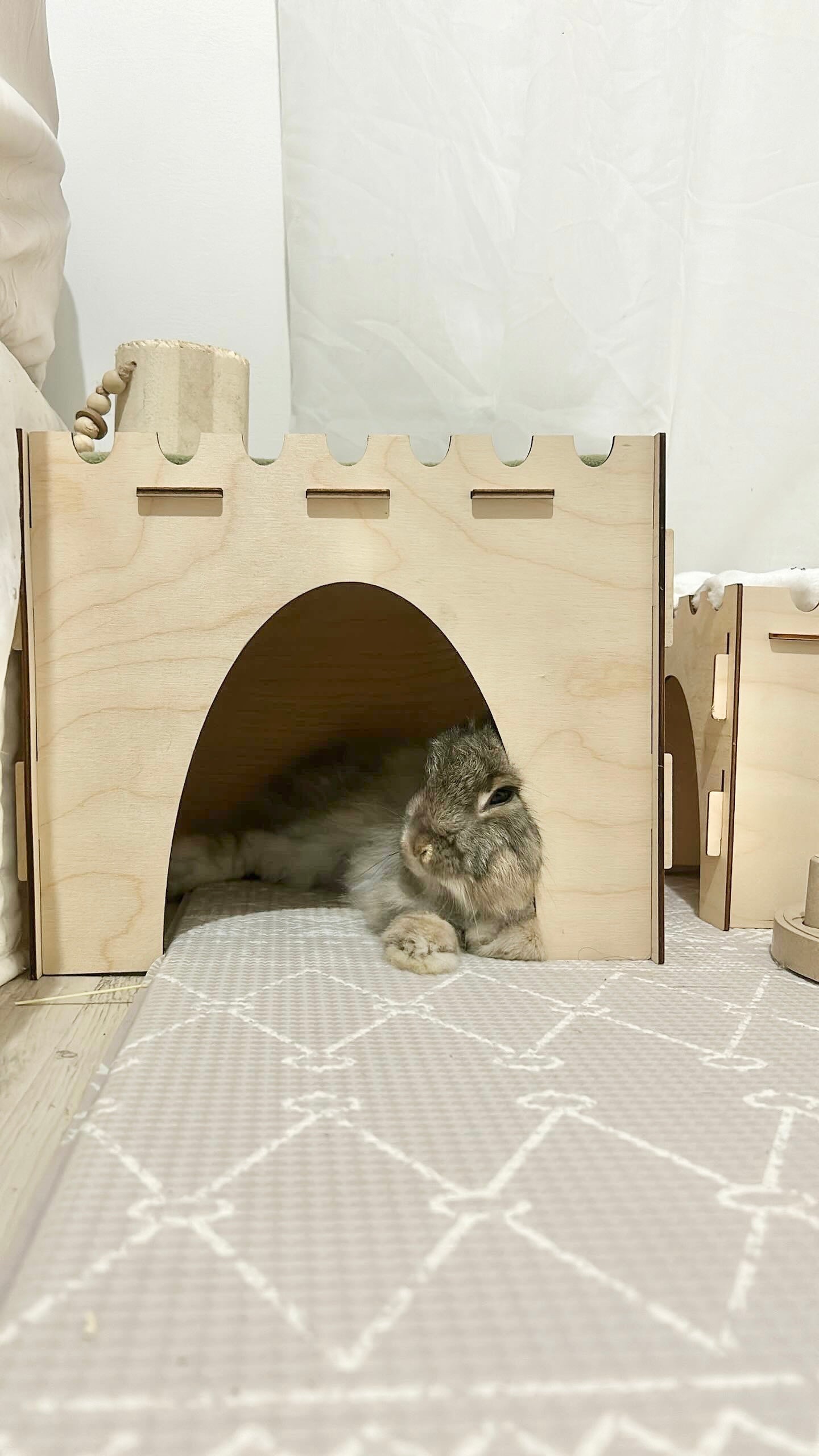 Essential Castle