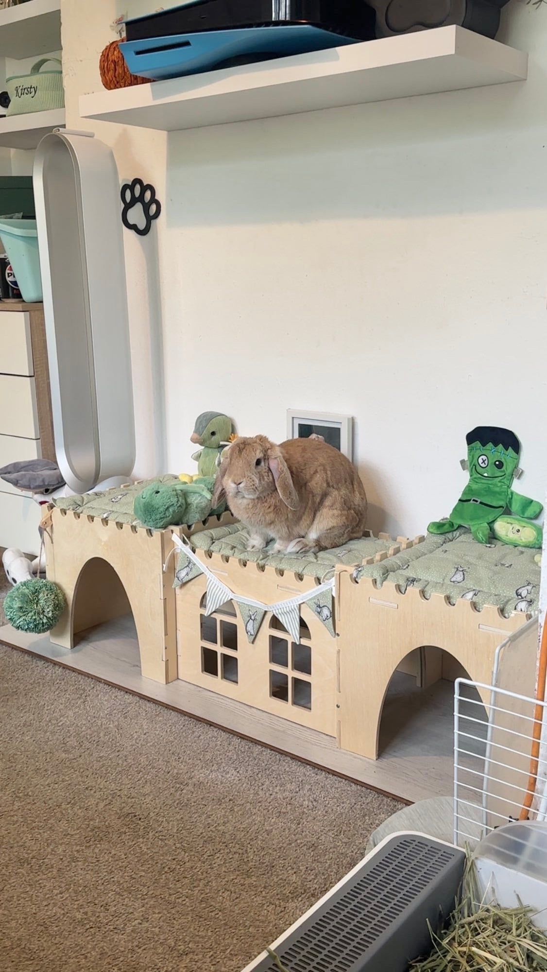Premium Forts