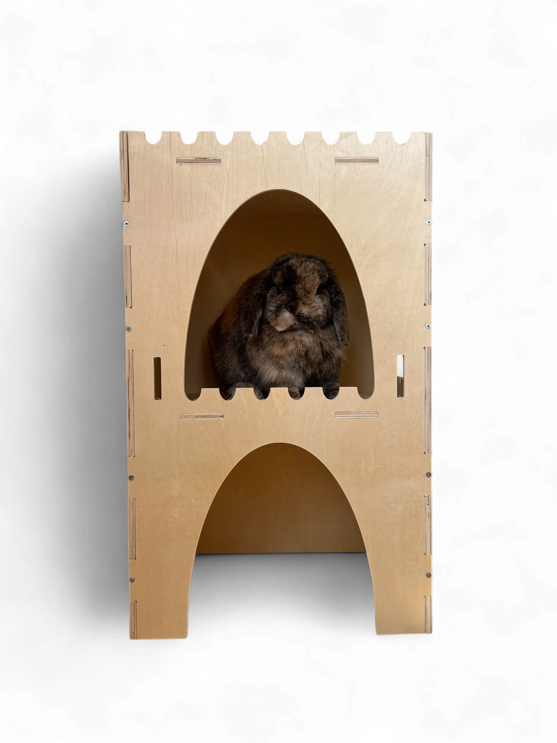 Premium Double Storey Castle