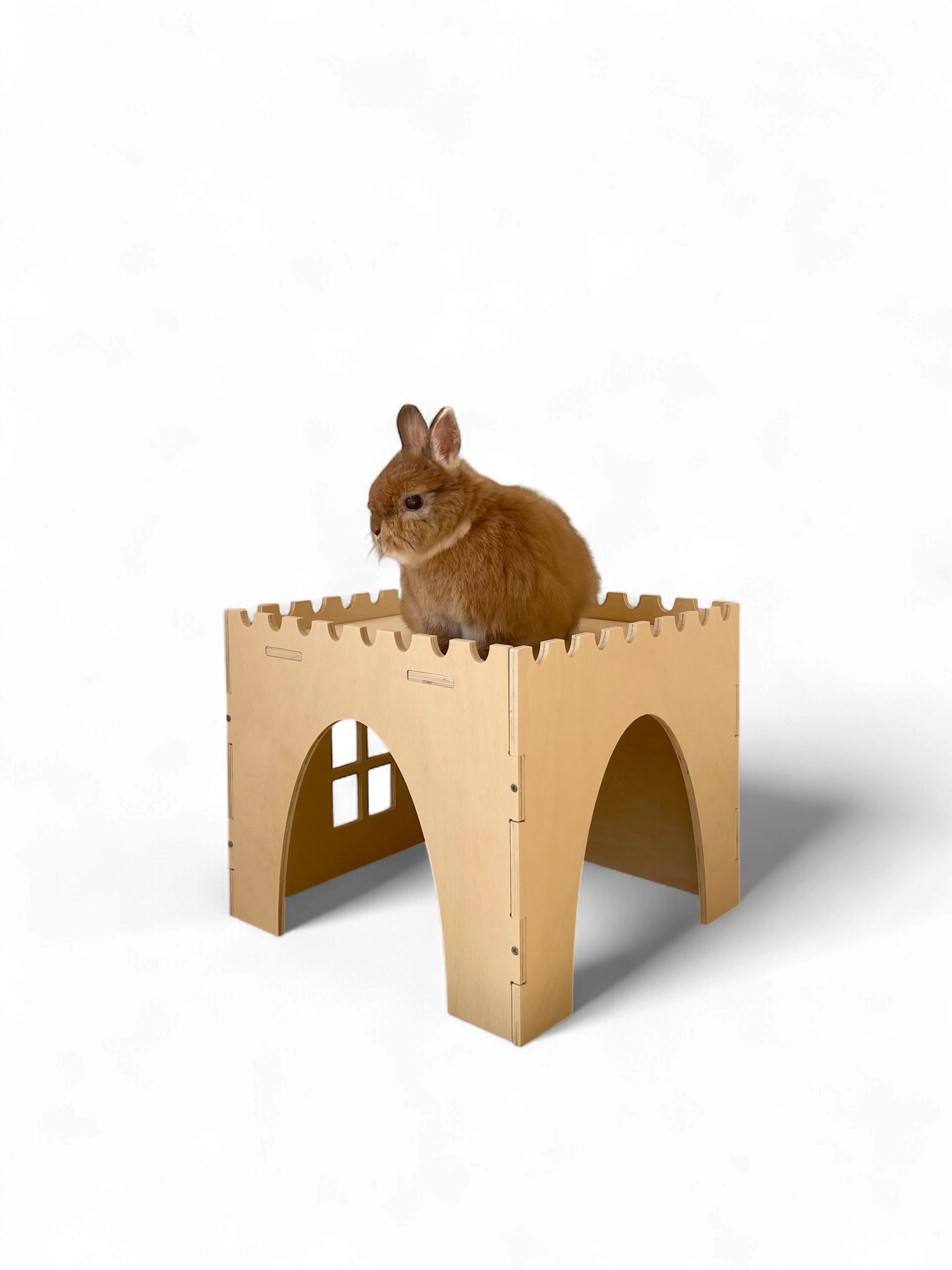 Premium Castle