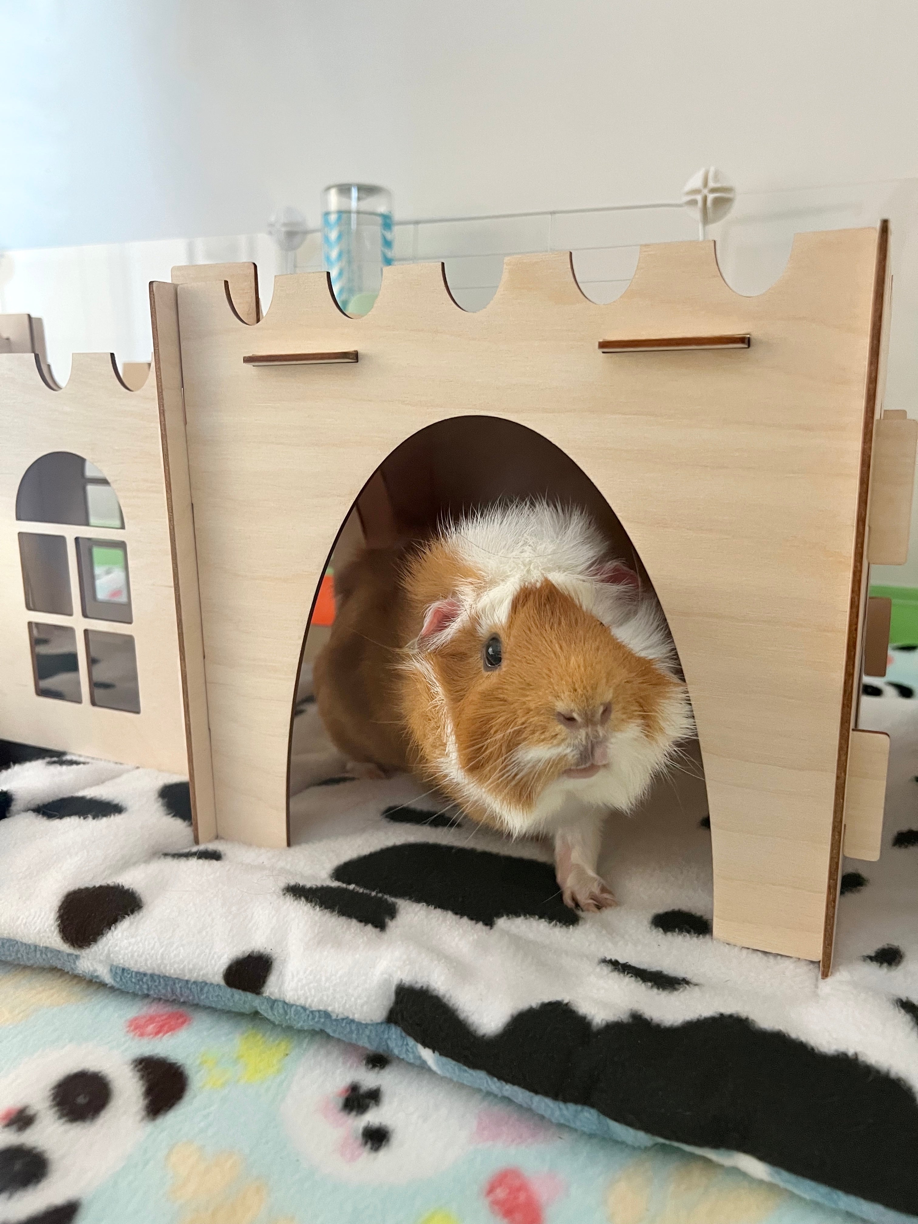 Guinea Pig Castle