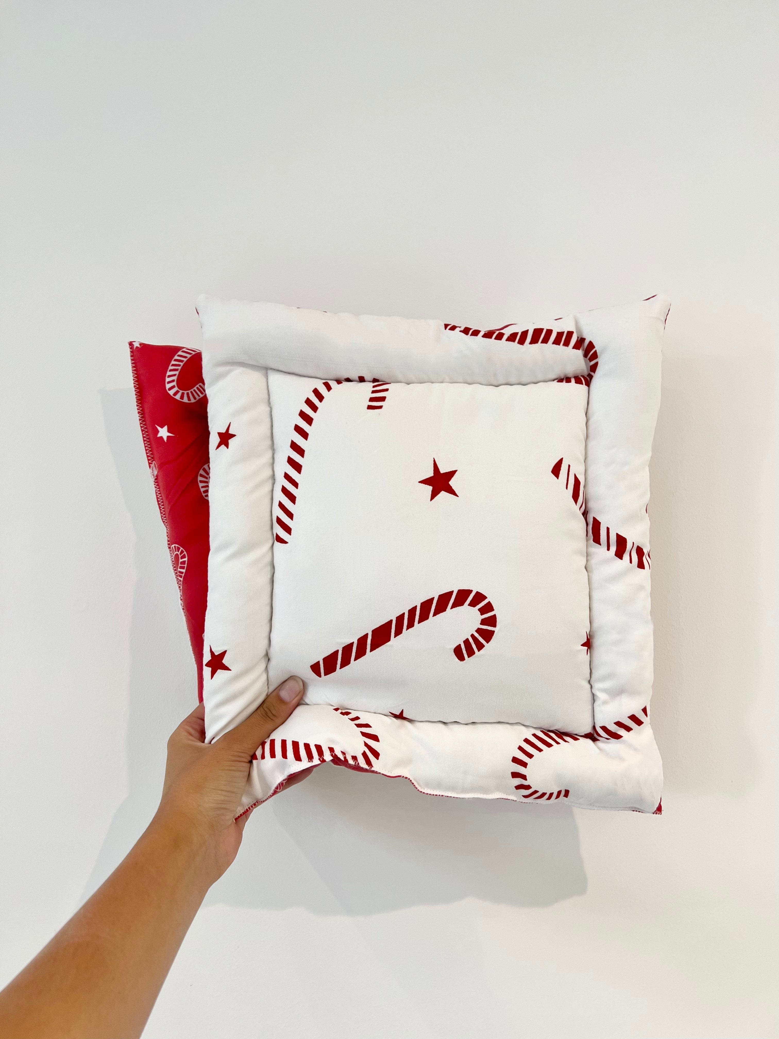 Christmas Castle Cushions