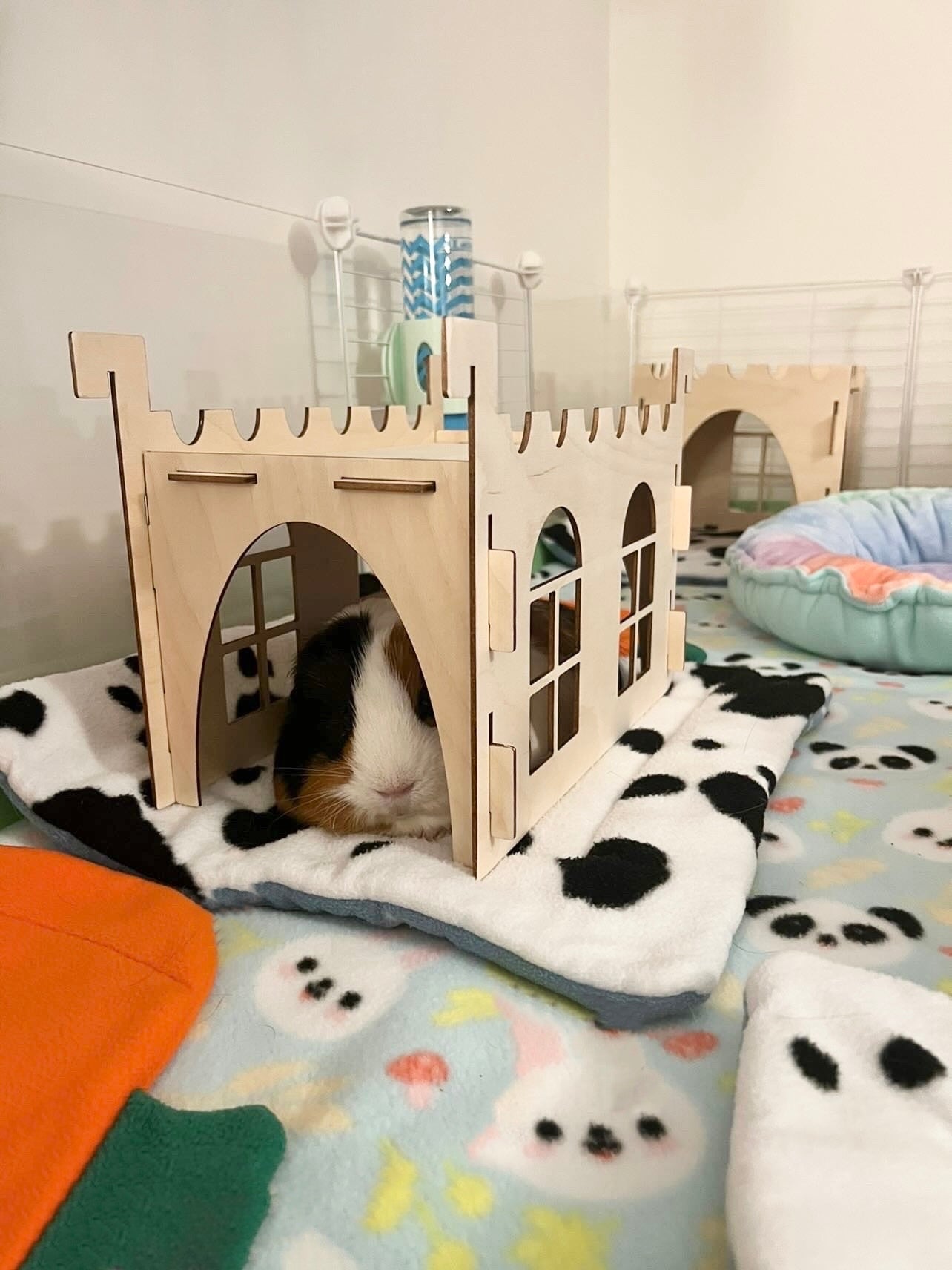 Guinea Pig Tunnel
