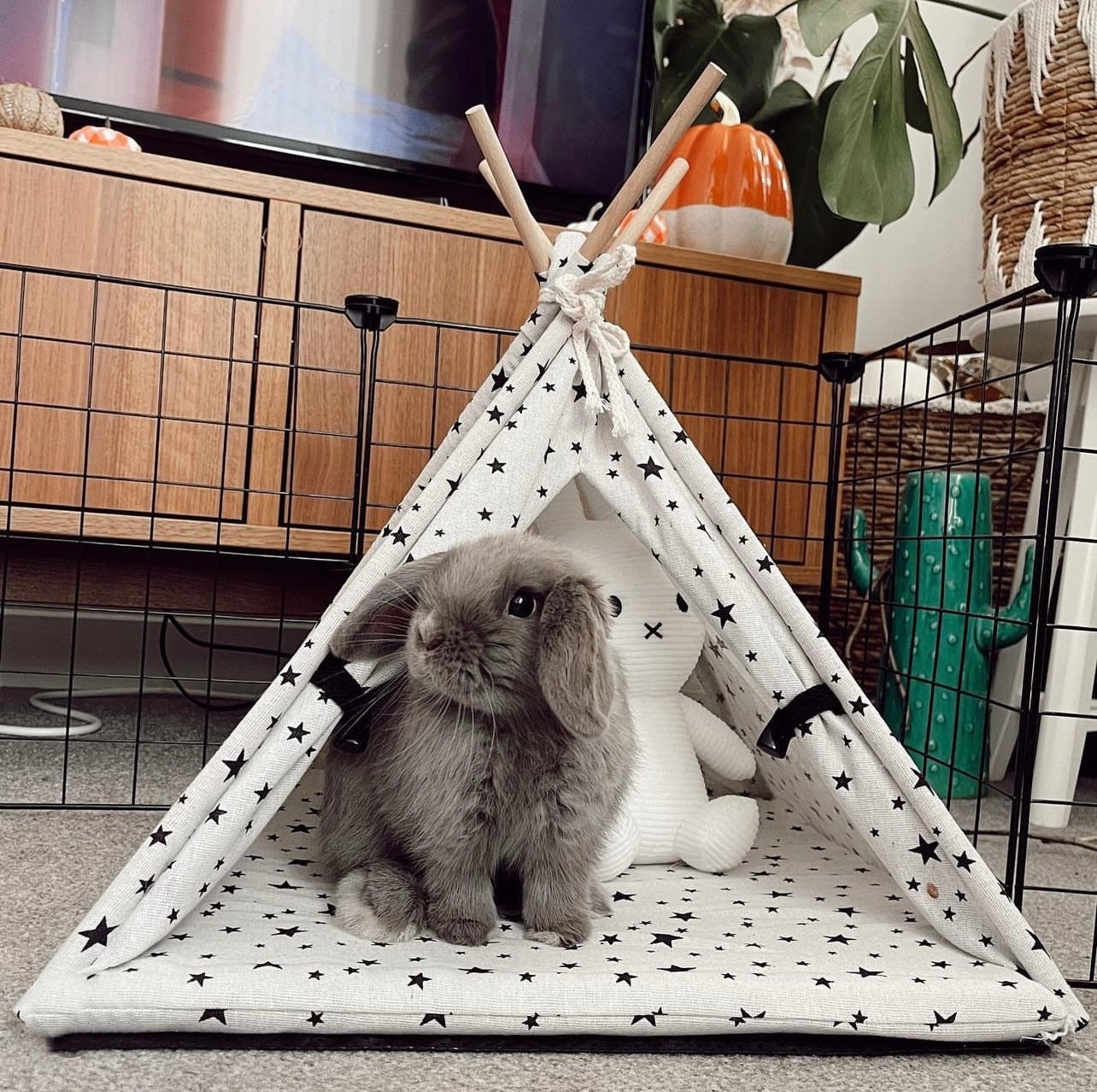 Bunny Teepee