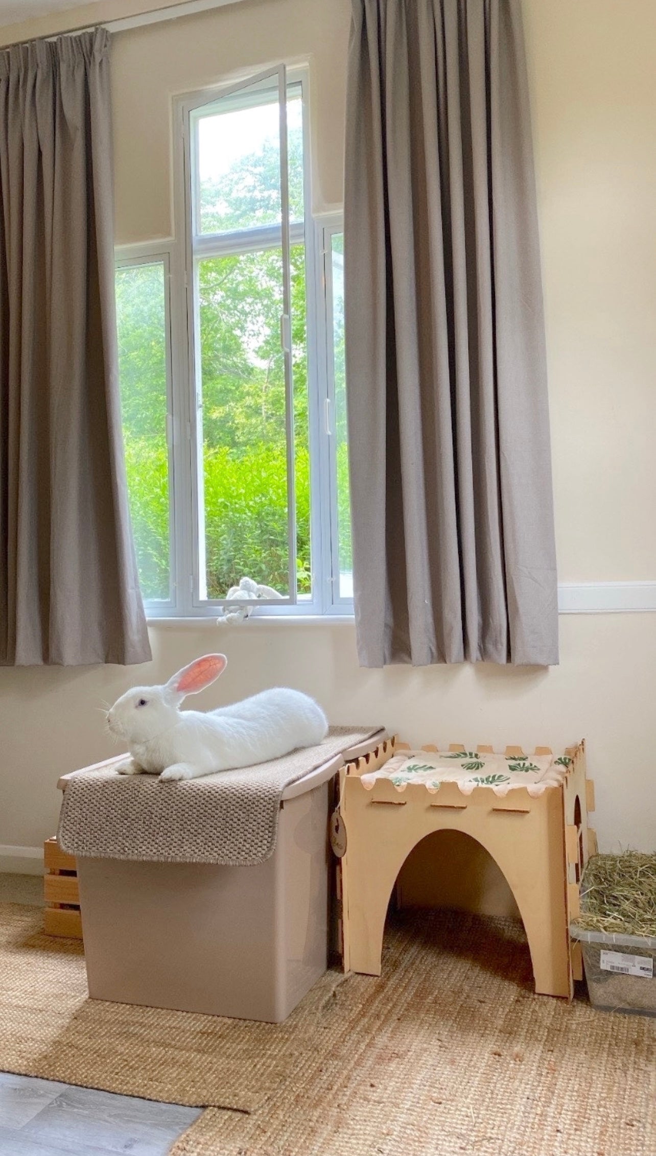 Giant Cosy’s Castle
