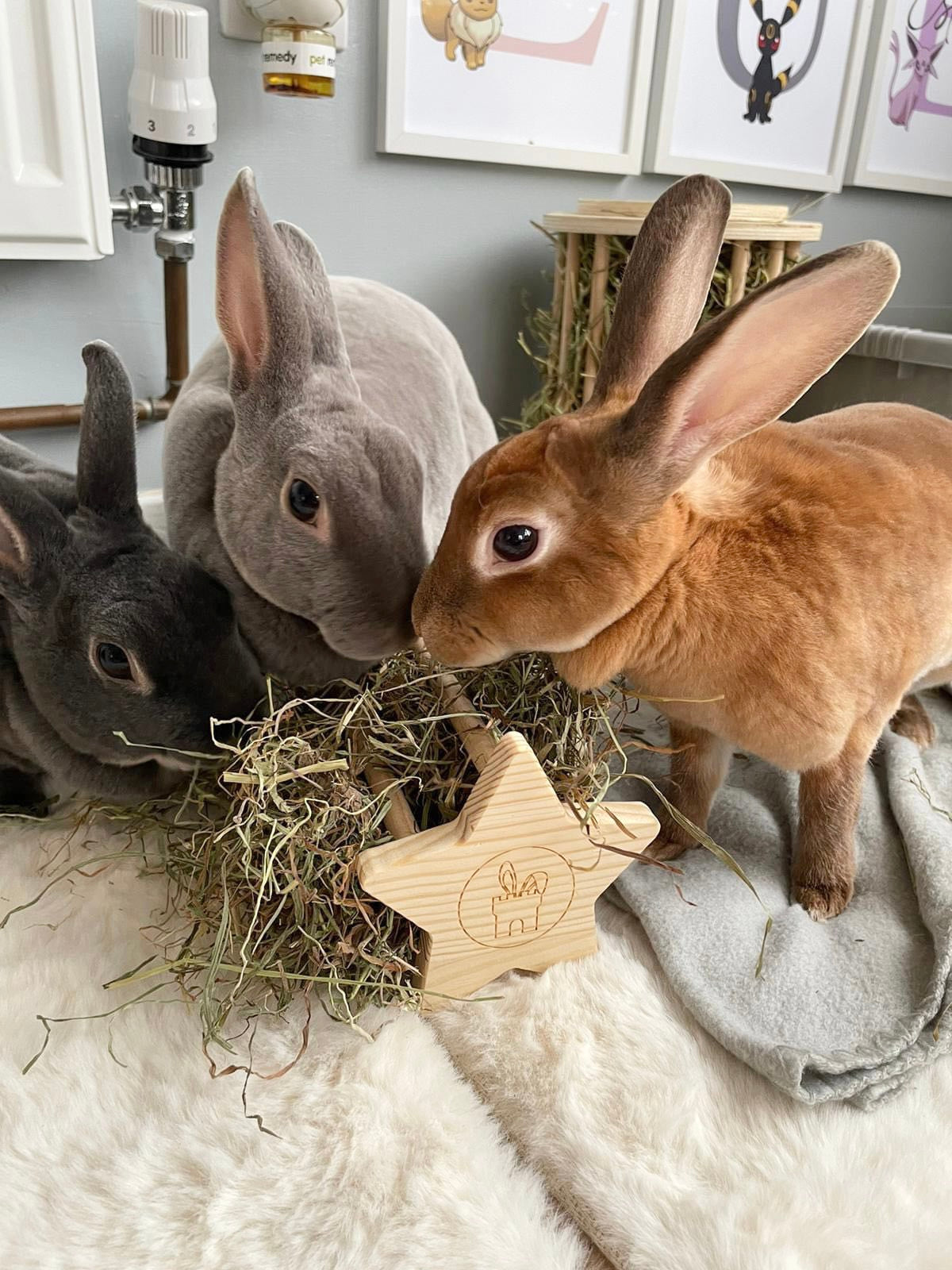 Mini Star Hay Feeder