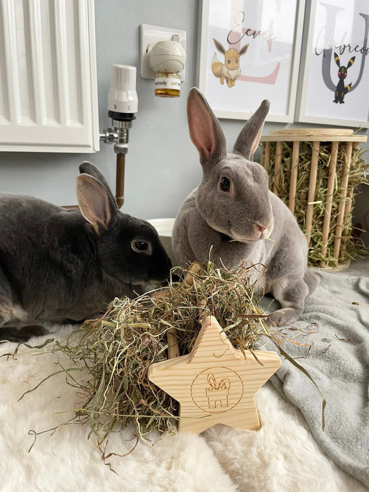 Mini Star Hay Feeder