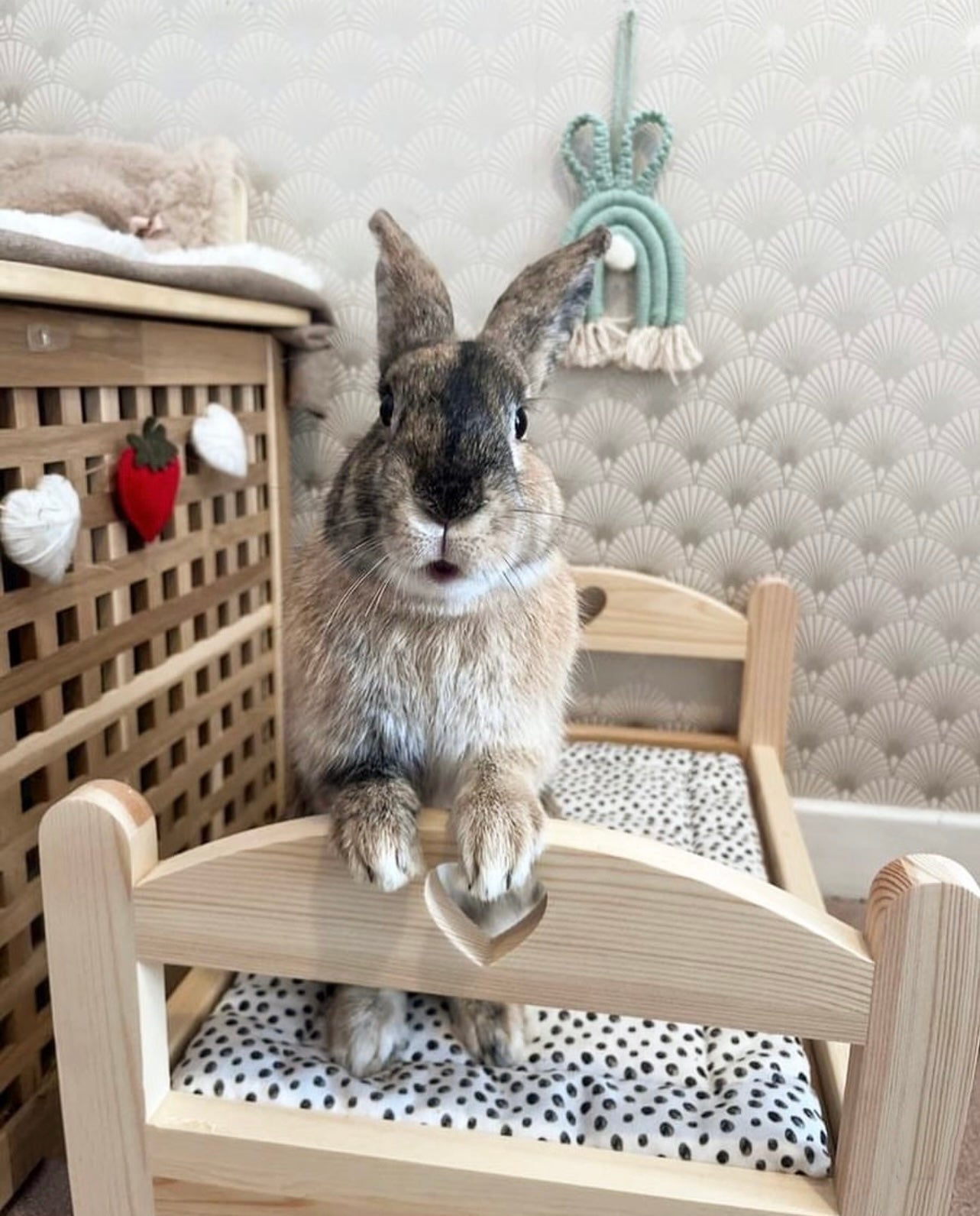 Bunny Bed