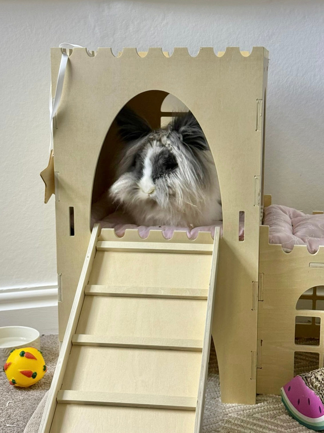 Premium Forts