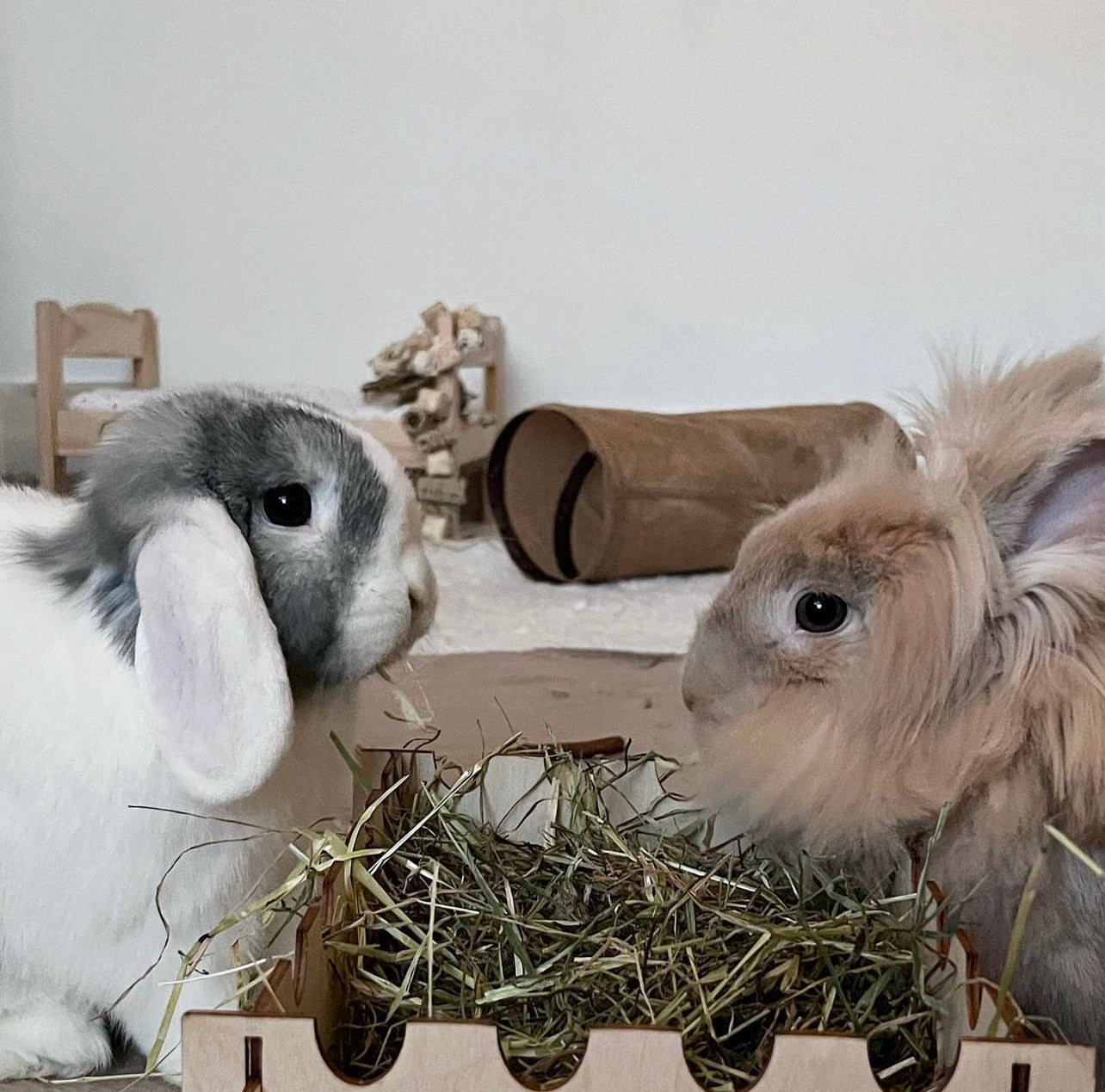 Forage Box