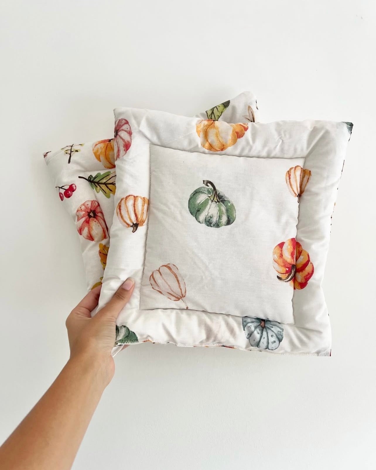 Autumn Castle Cushions