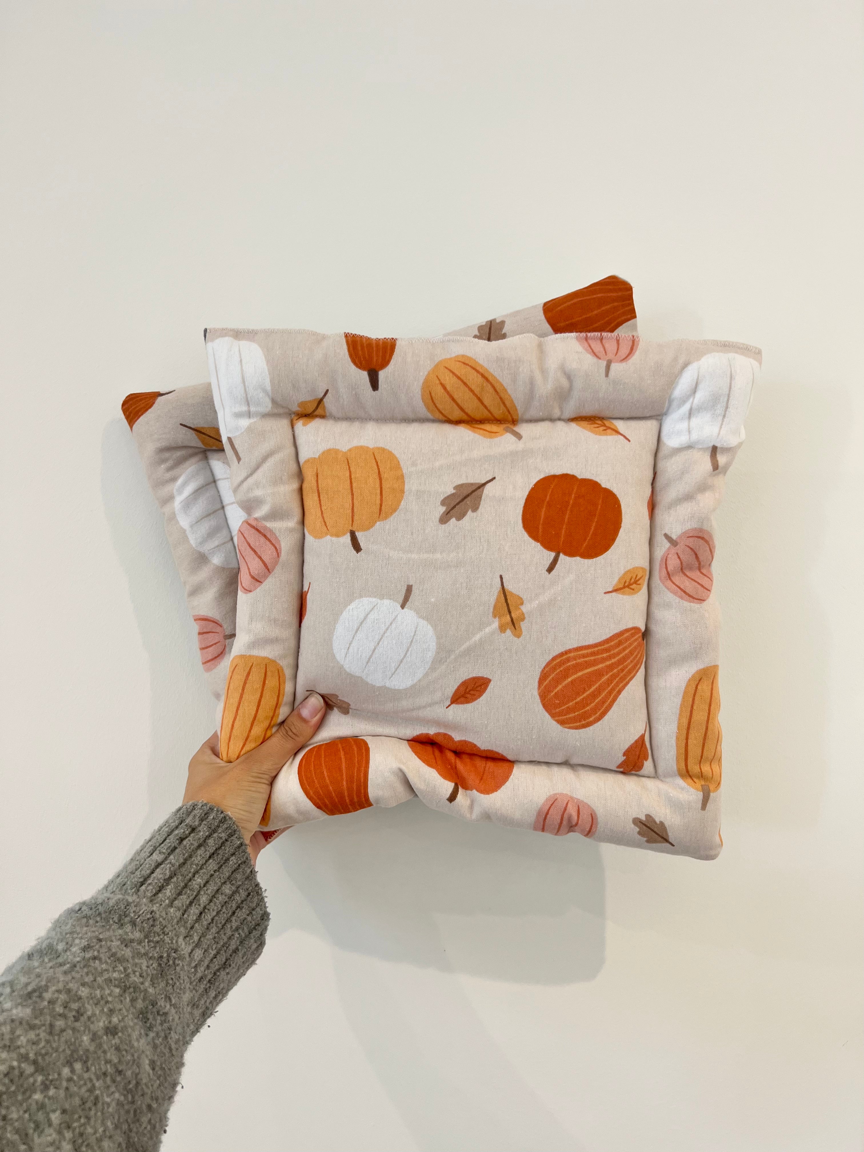 Autumn Castle Cushions