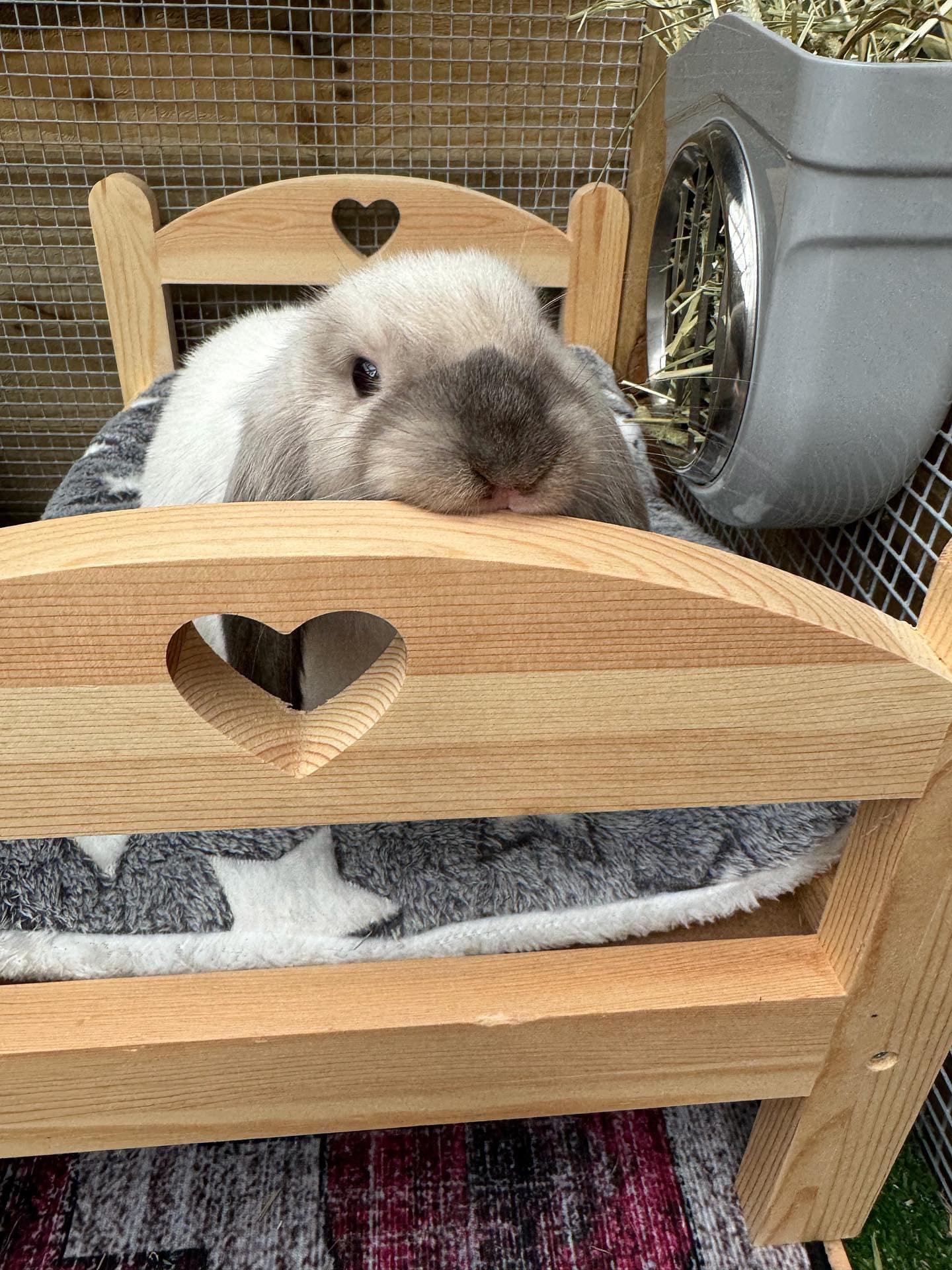Bunny Bed