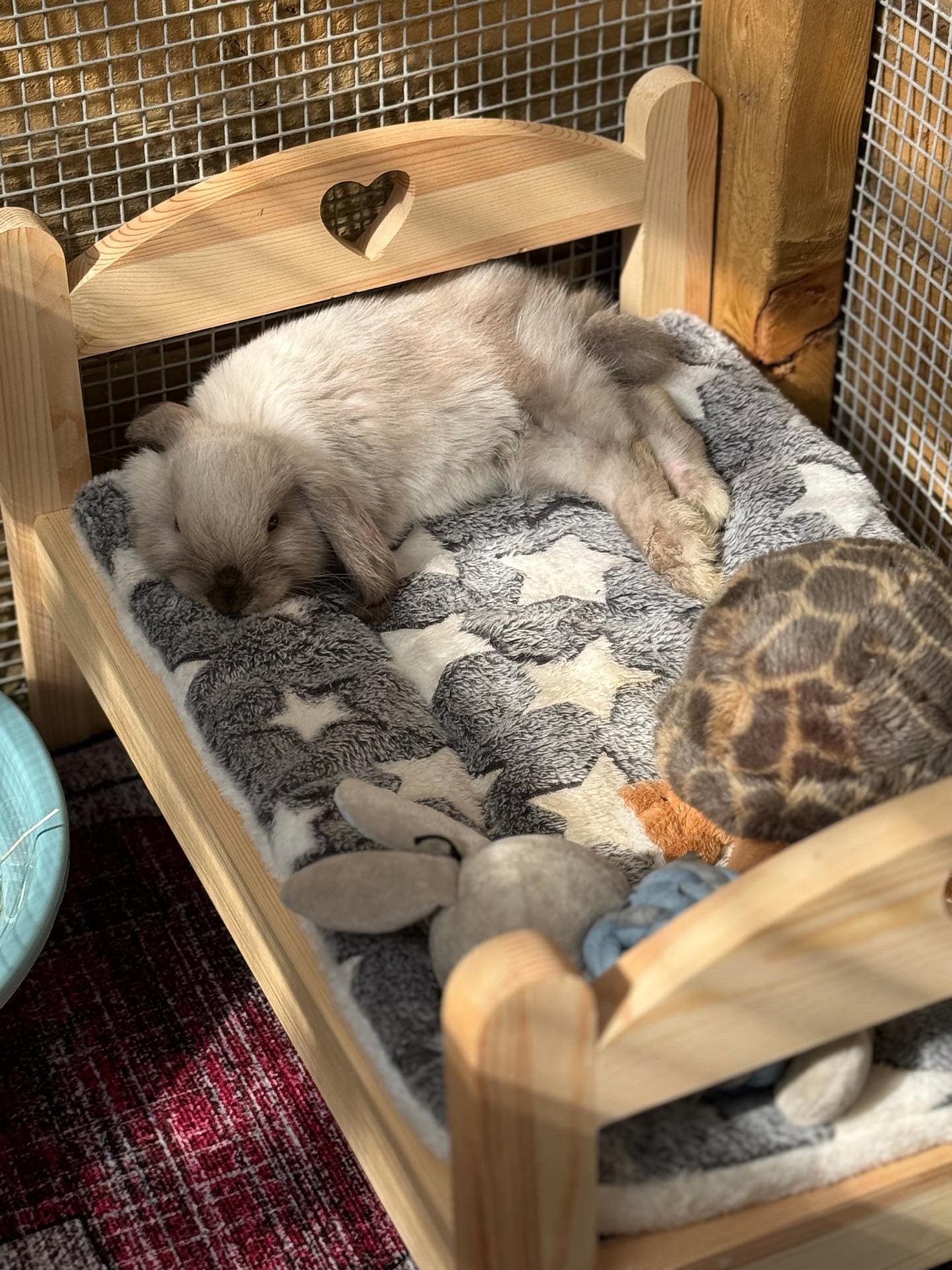 Bunny Bed