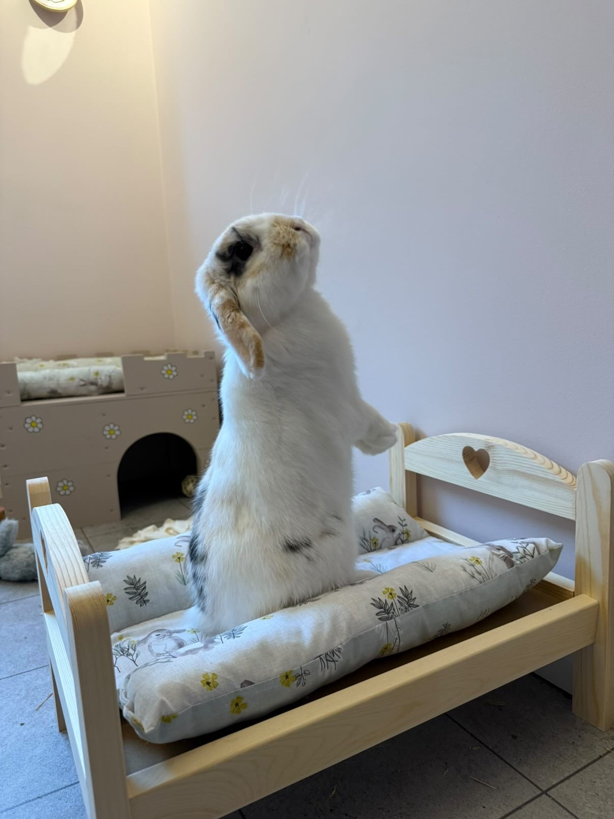 Bunny Bed