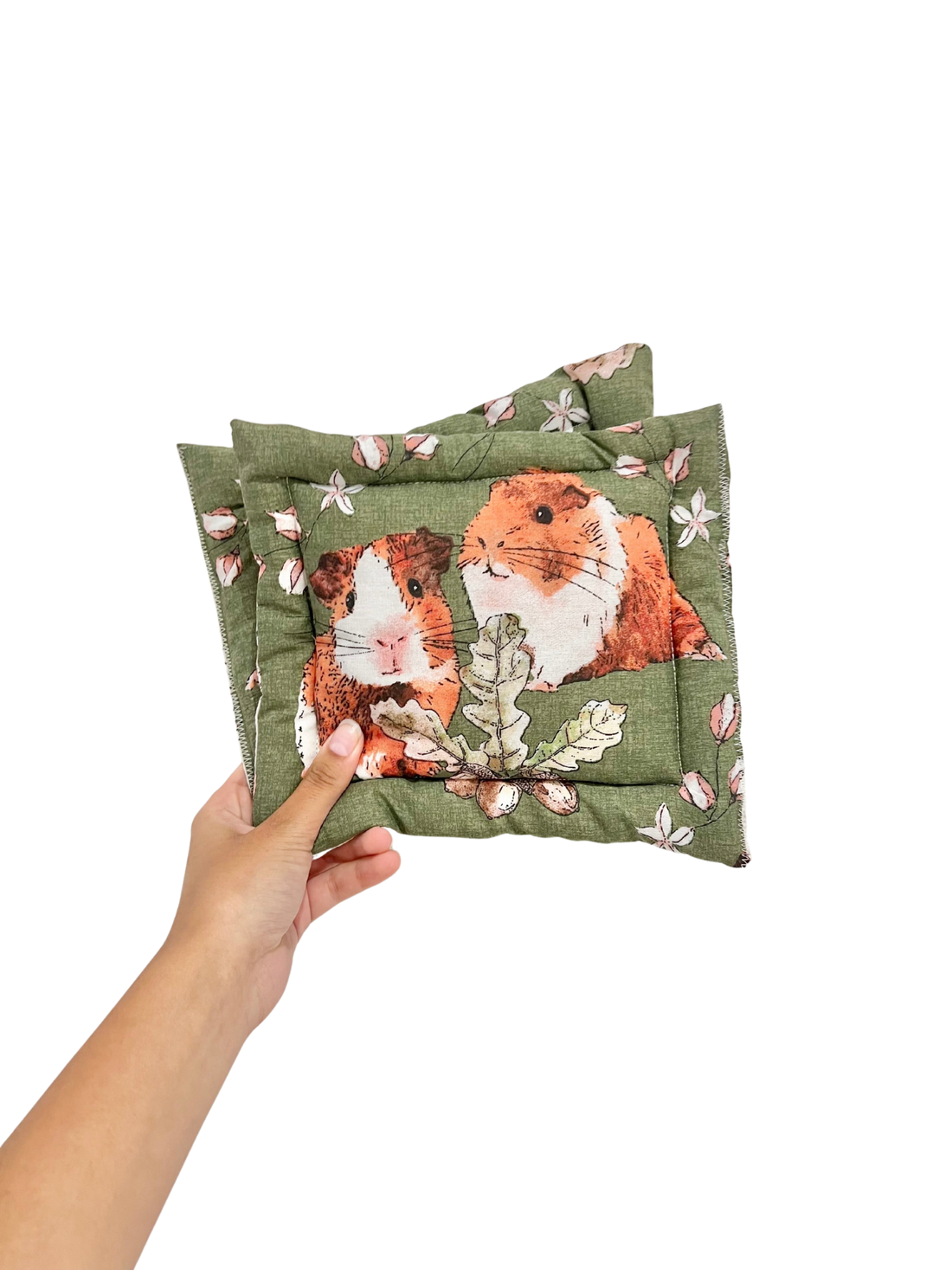 Guinea Pig Castle Cushion