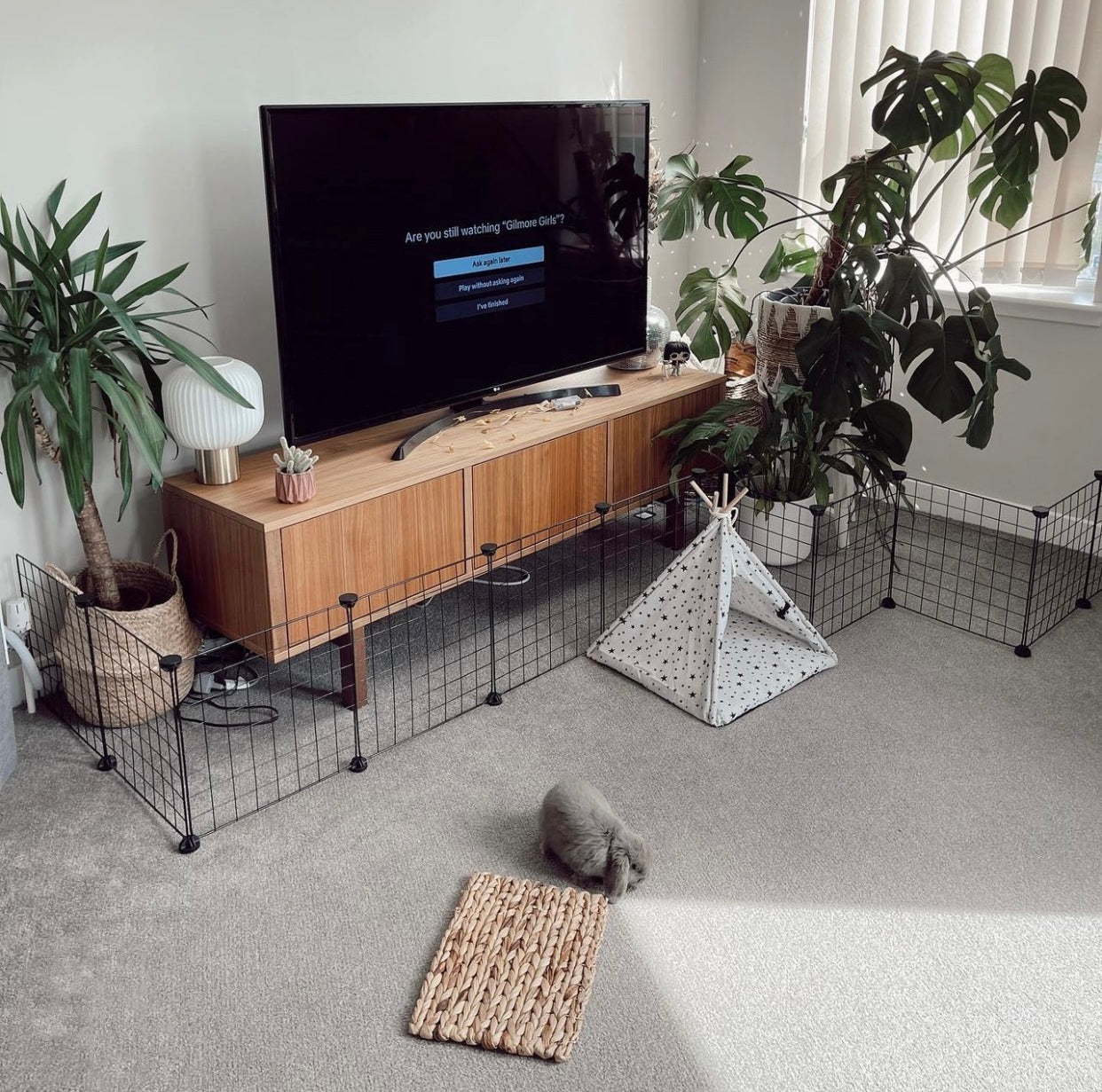 Bunny Teepee