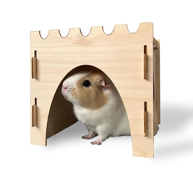 Guinea Pig Castle