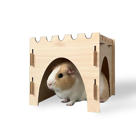Guinea Pig Castle