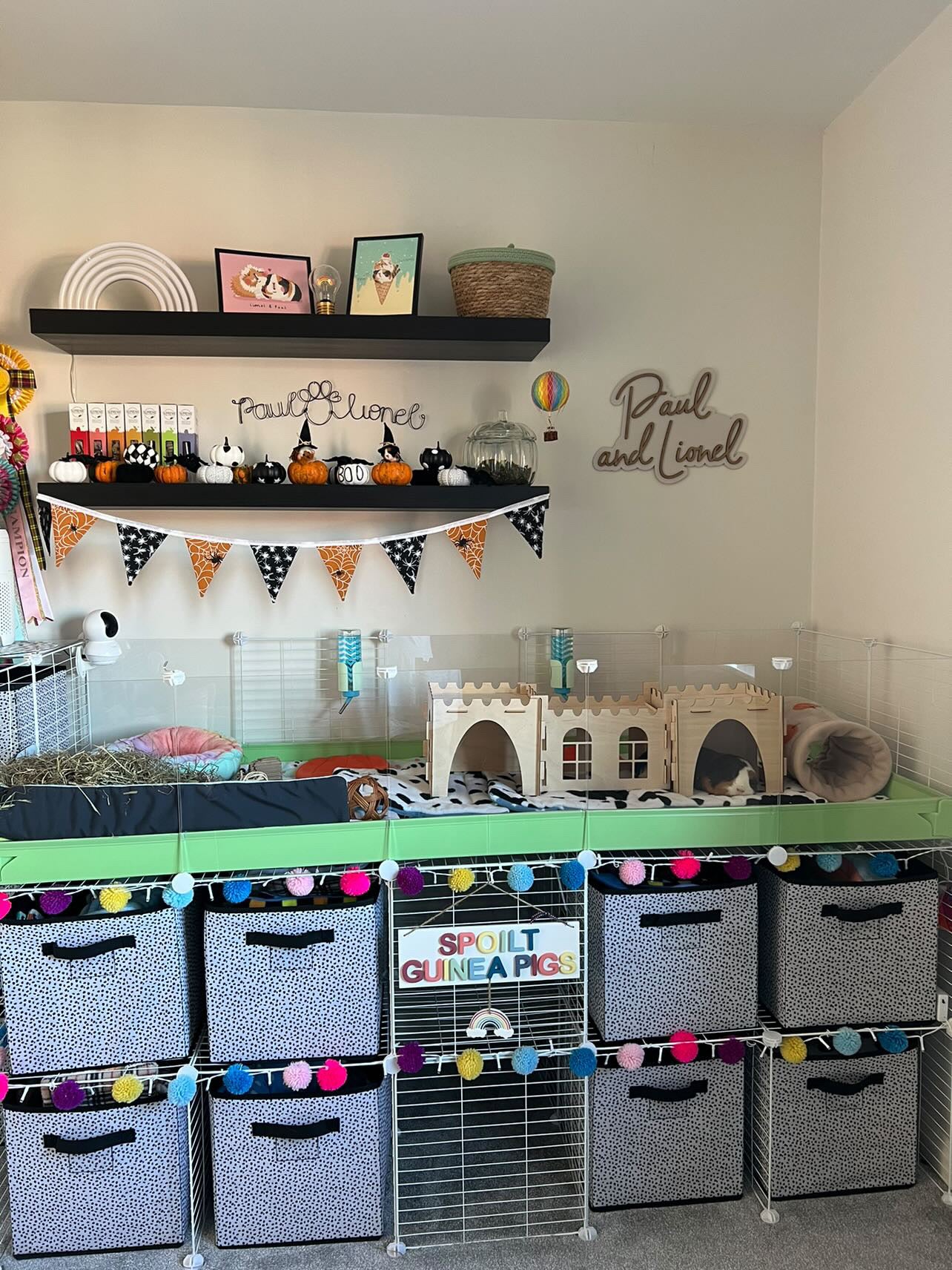 Guinea Pig 2 Castles and Tunnel Bundle
