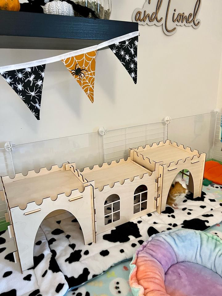 Guinea Pig 2 Castles and Tunnel Bundle