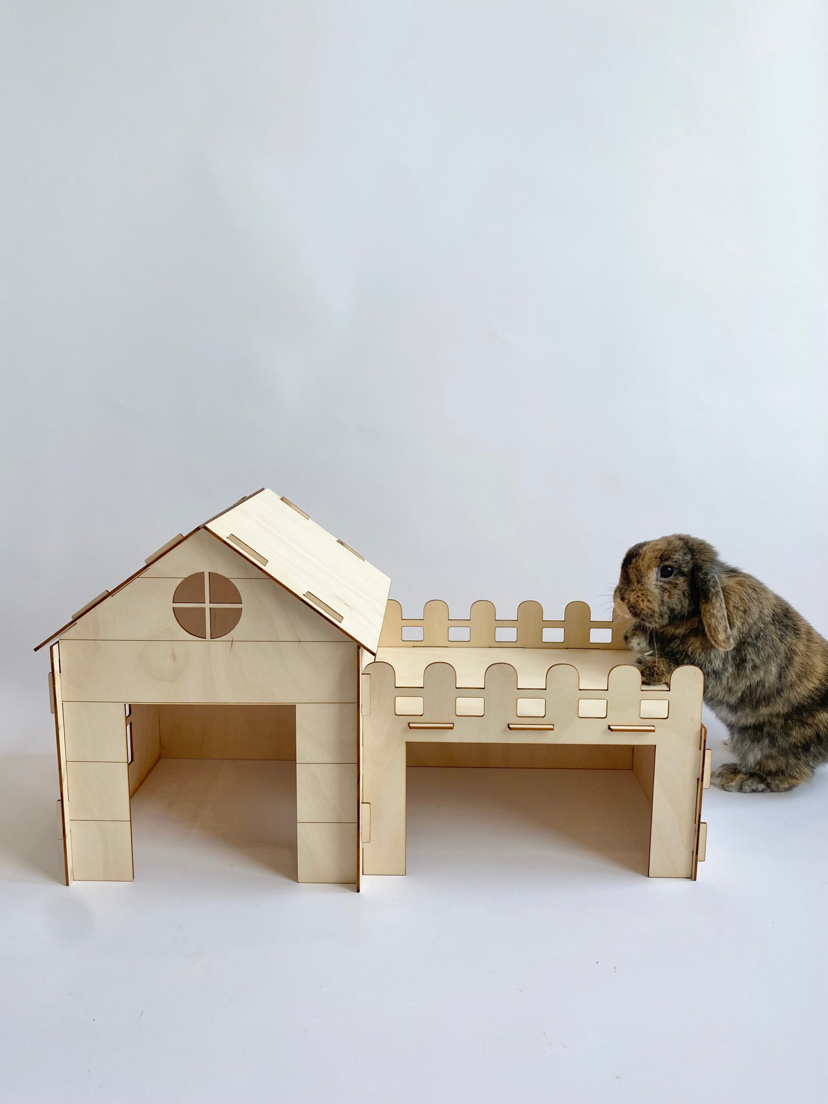 Beach Hut & Garage