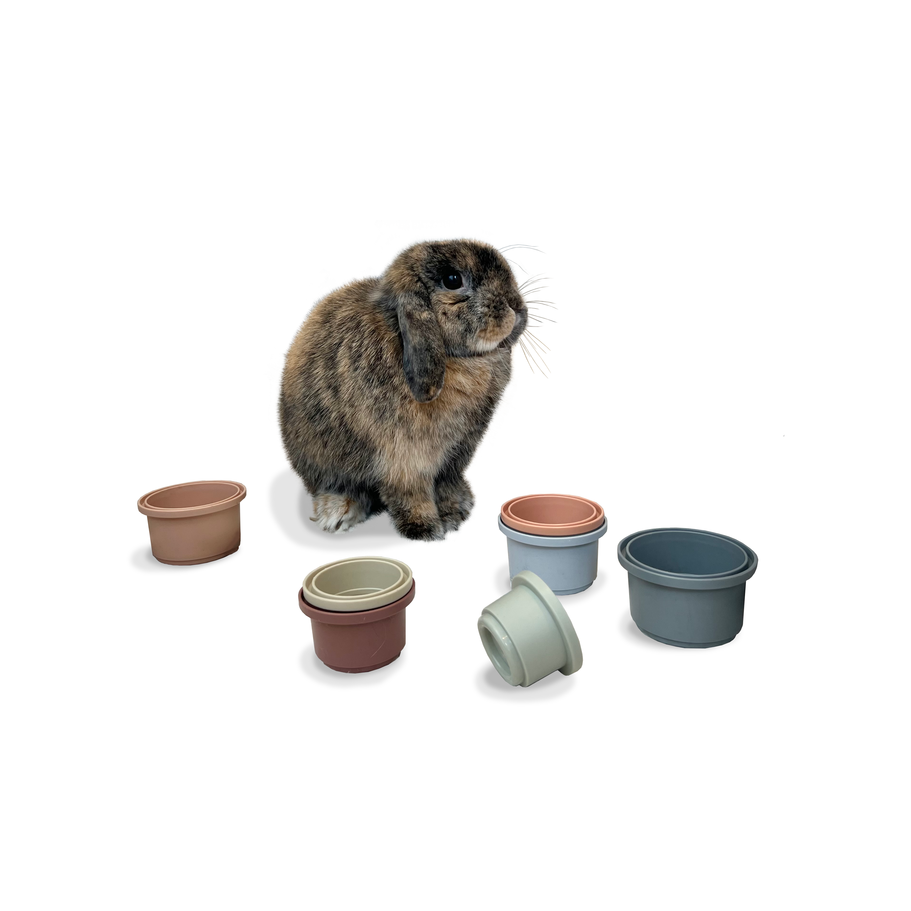 Premium Stacking Cups
