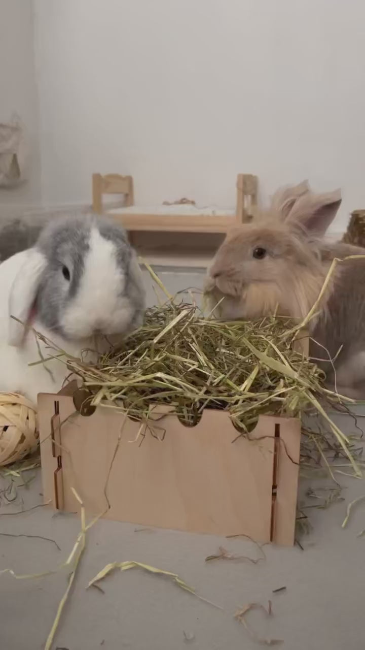 Forage Box