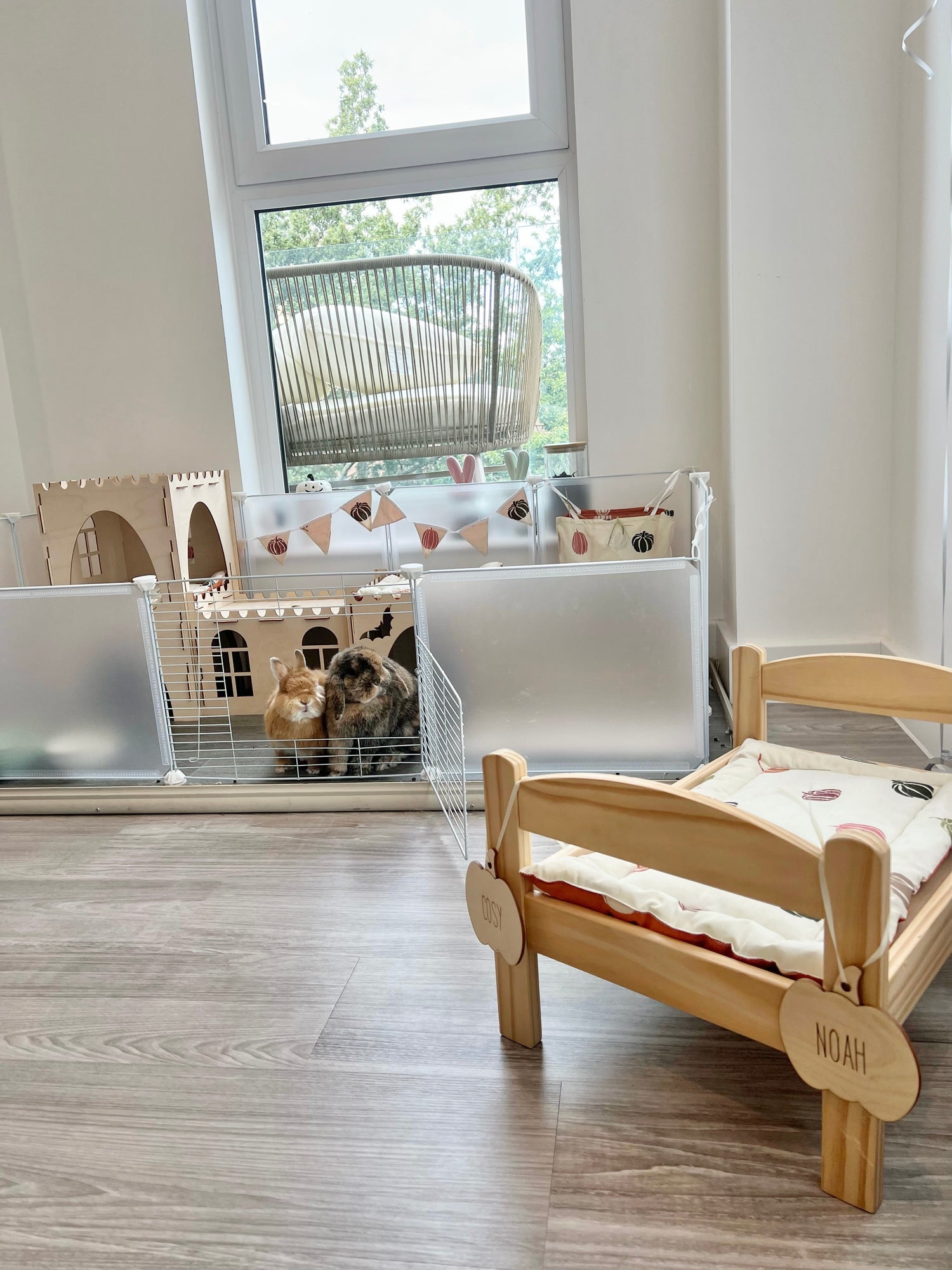 Personalised Pumpkin