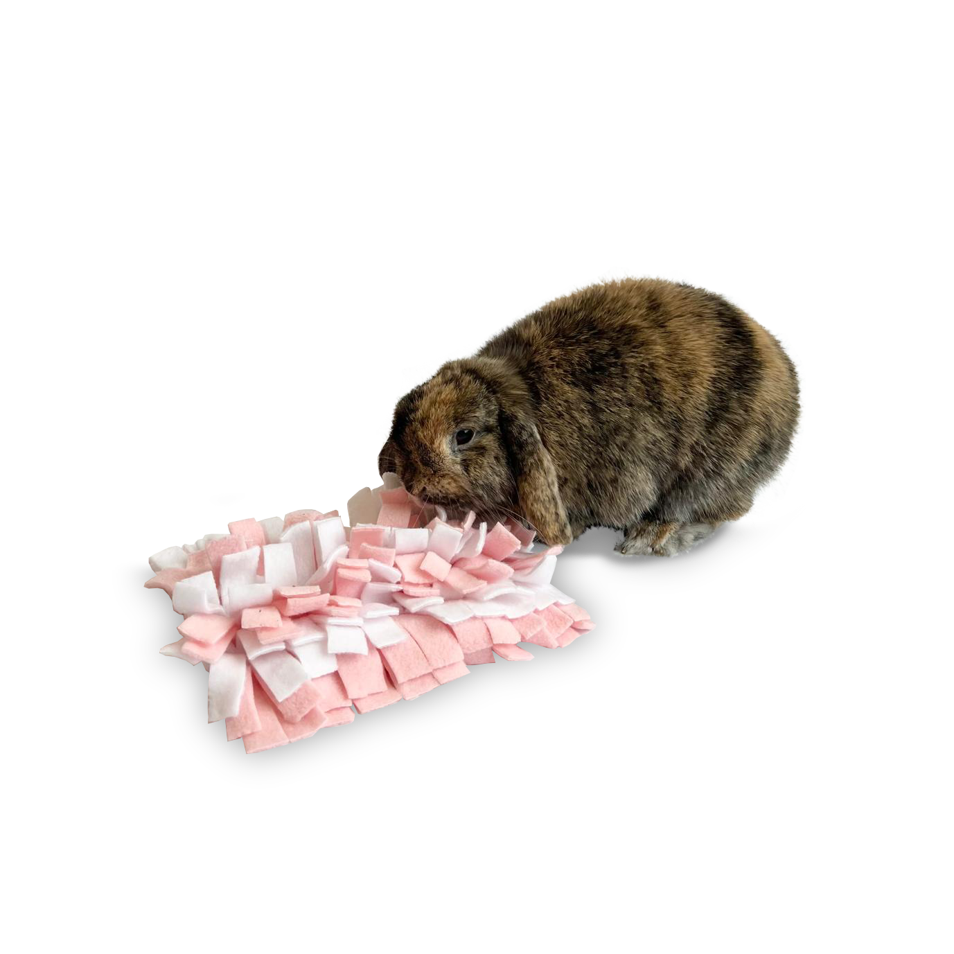 Snuffle Mats