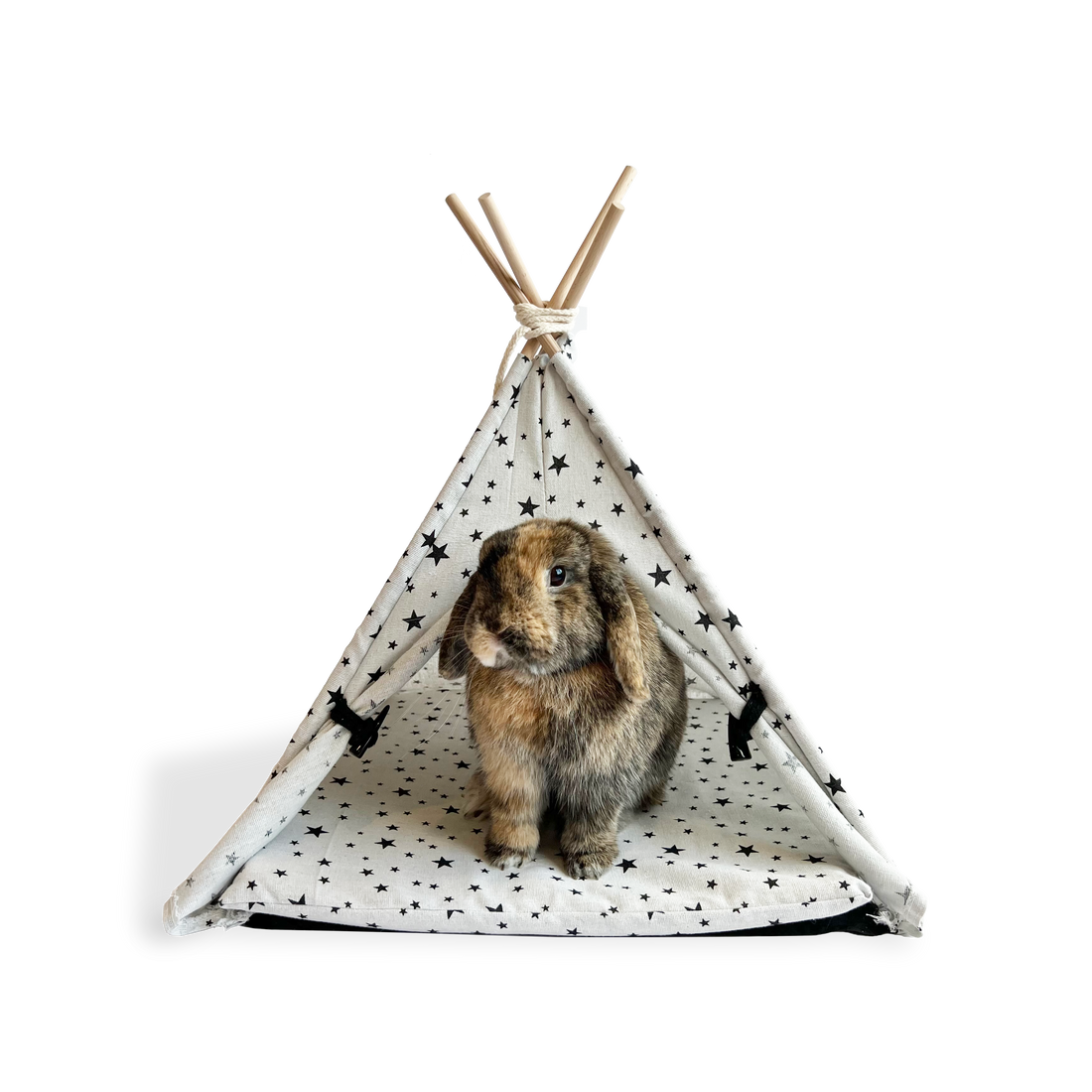 Bunny Teepee