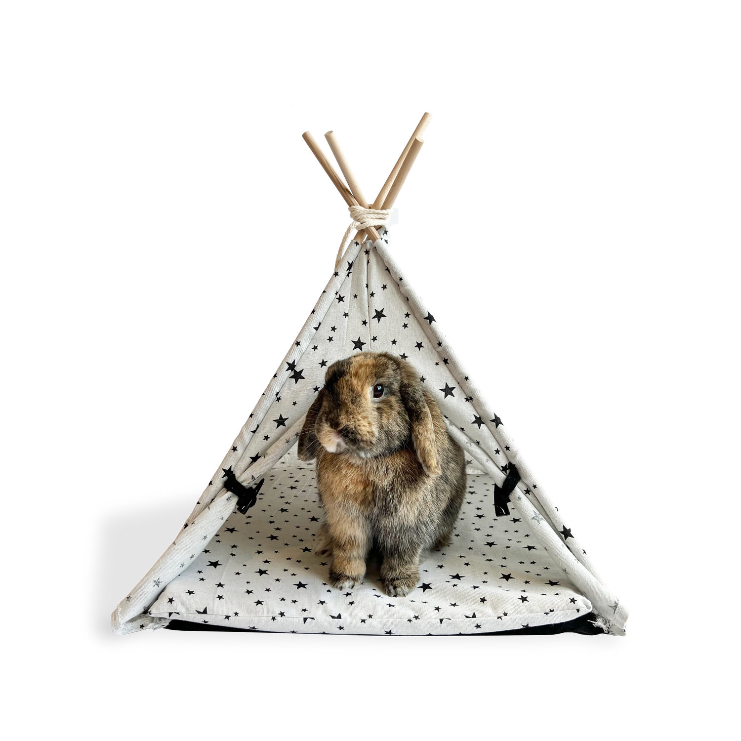 Bunny Teepee