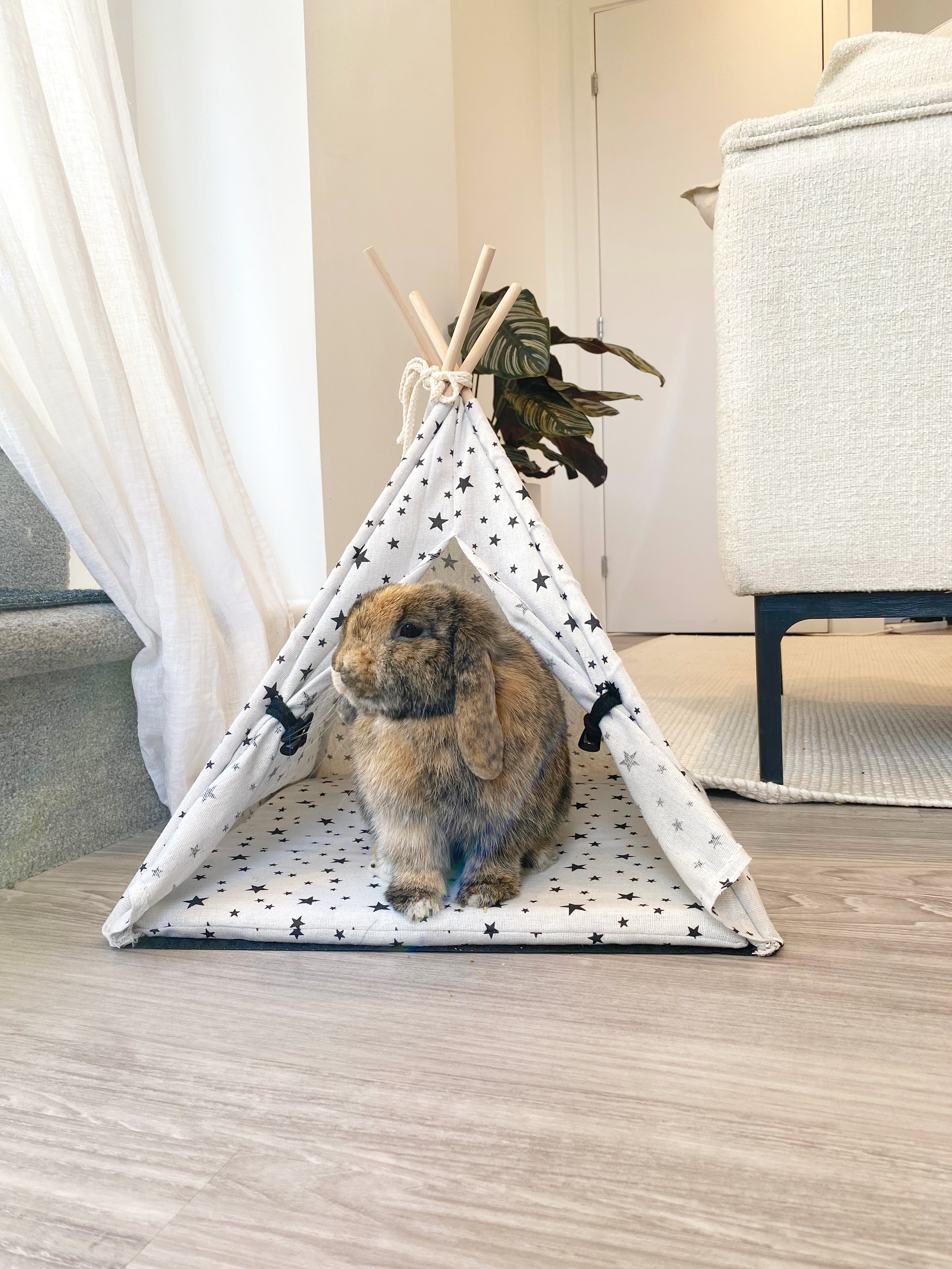 Bunny Teepee