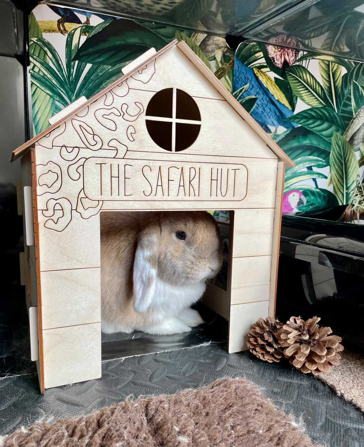 Beach Hut & Garage