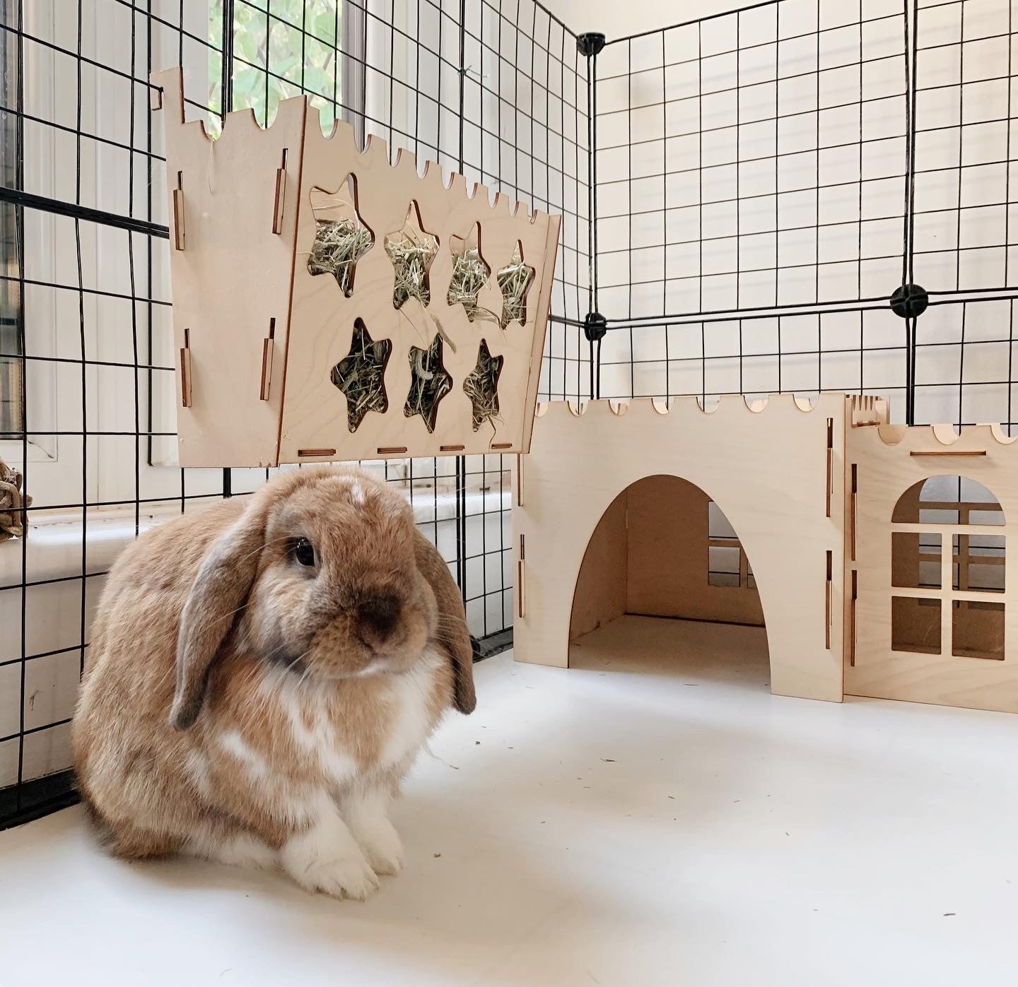 Essential Double Hay Rack