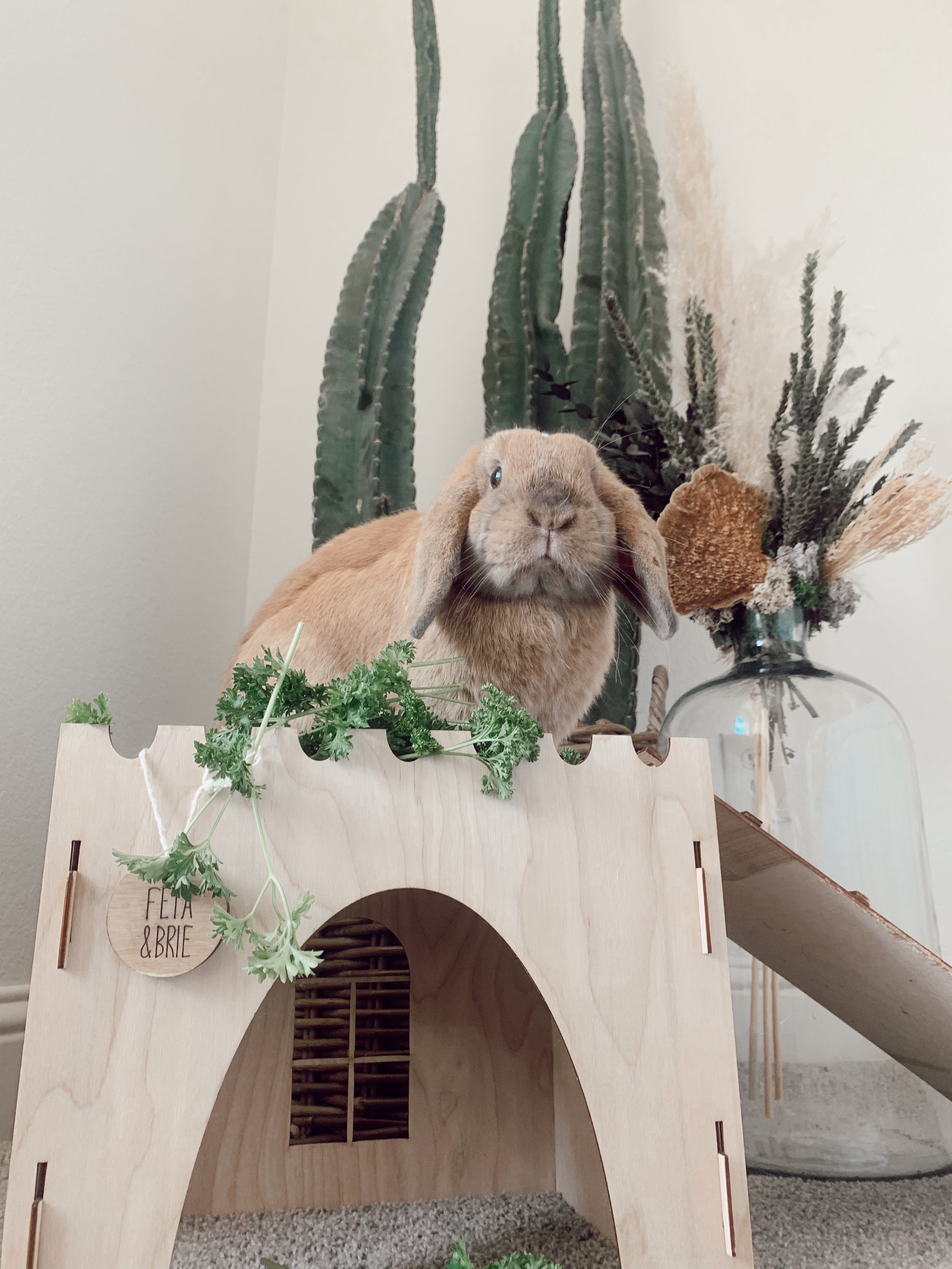 Essential Castle