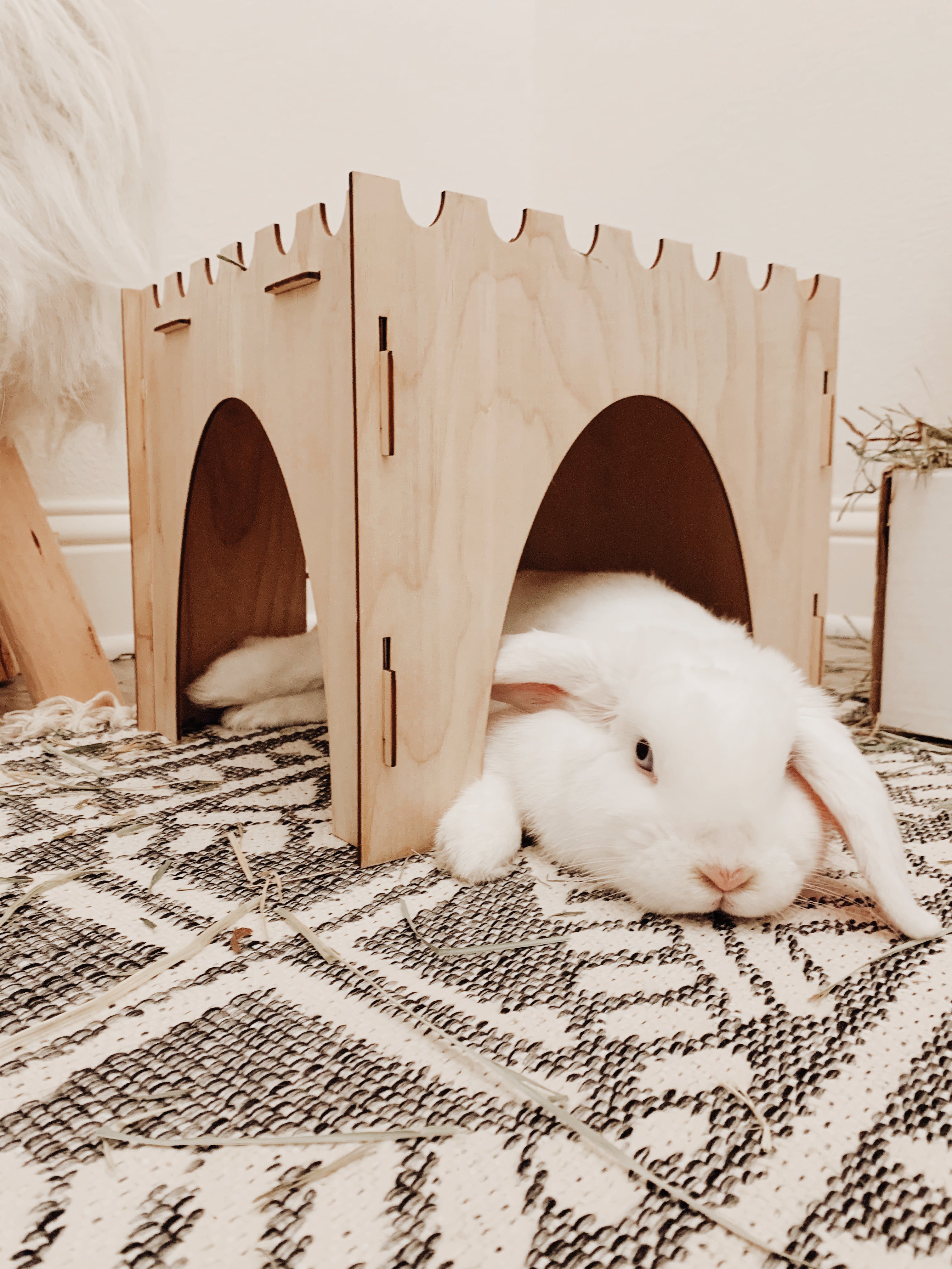Essential Castle