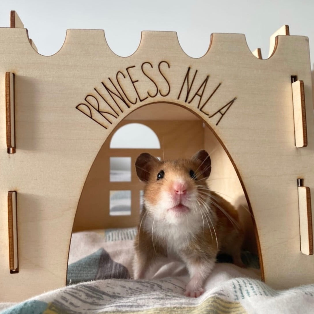 Hamster Castle