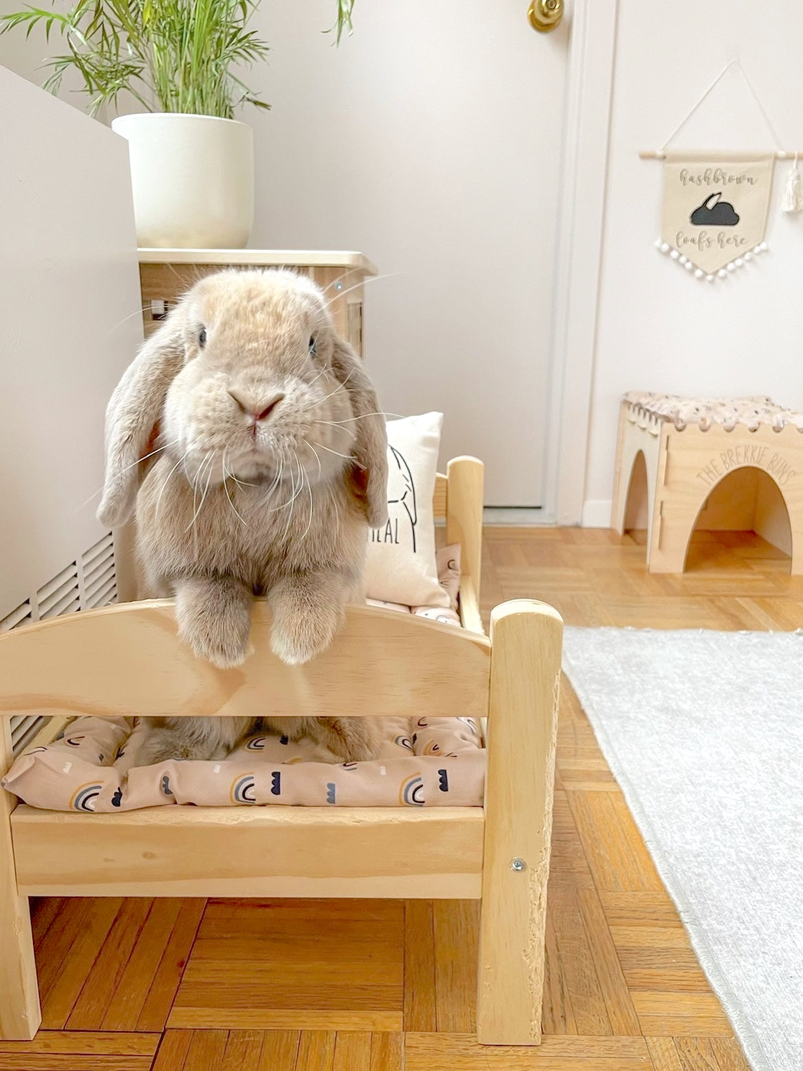 IKEA Bed Cushions