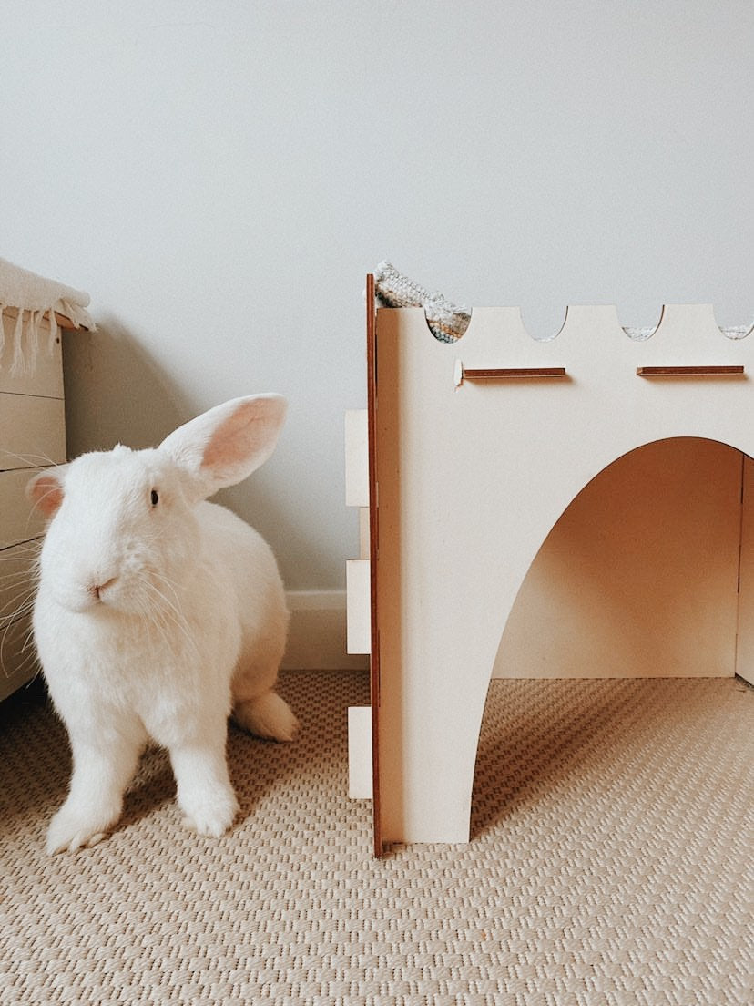 Giant Cosy’s Castle