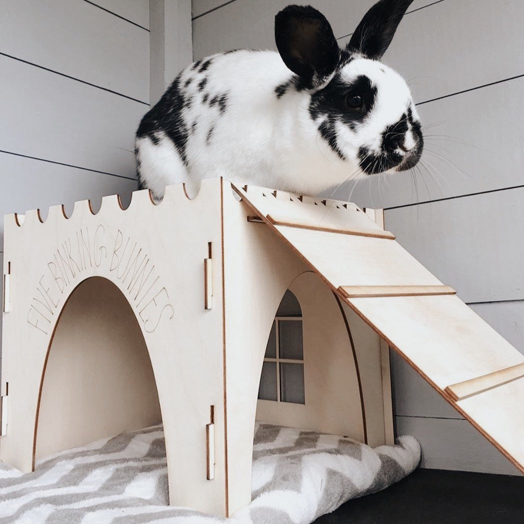 Essential Castle