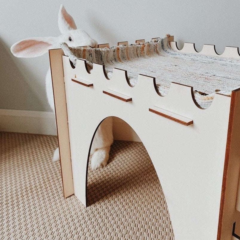 Giant Cosy’s Castle