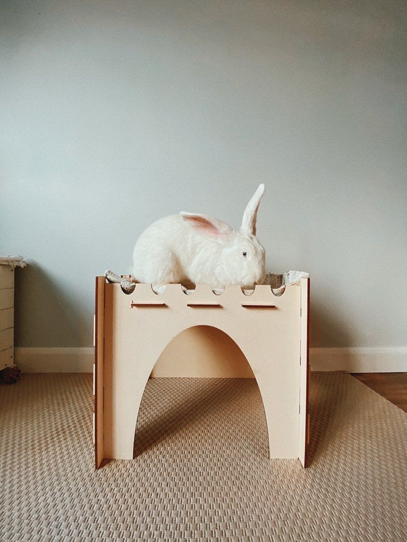 Giant Cosy’s Castle