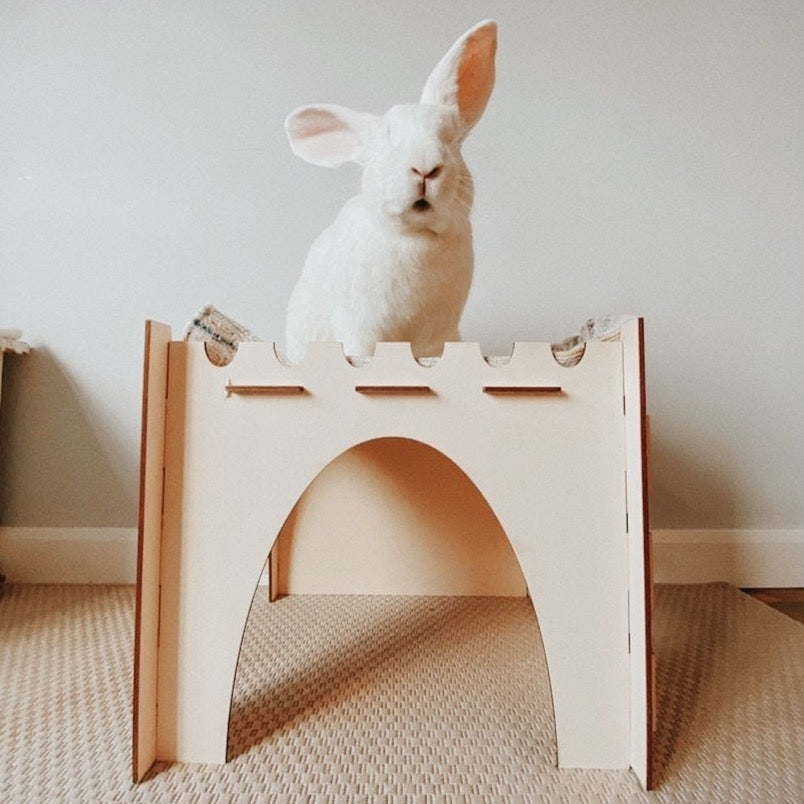 Giant Cosy’s Castle