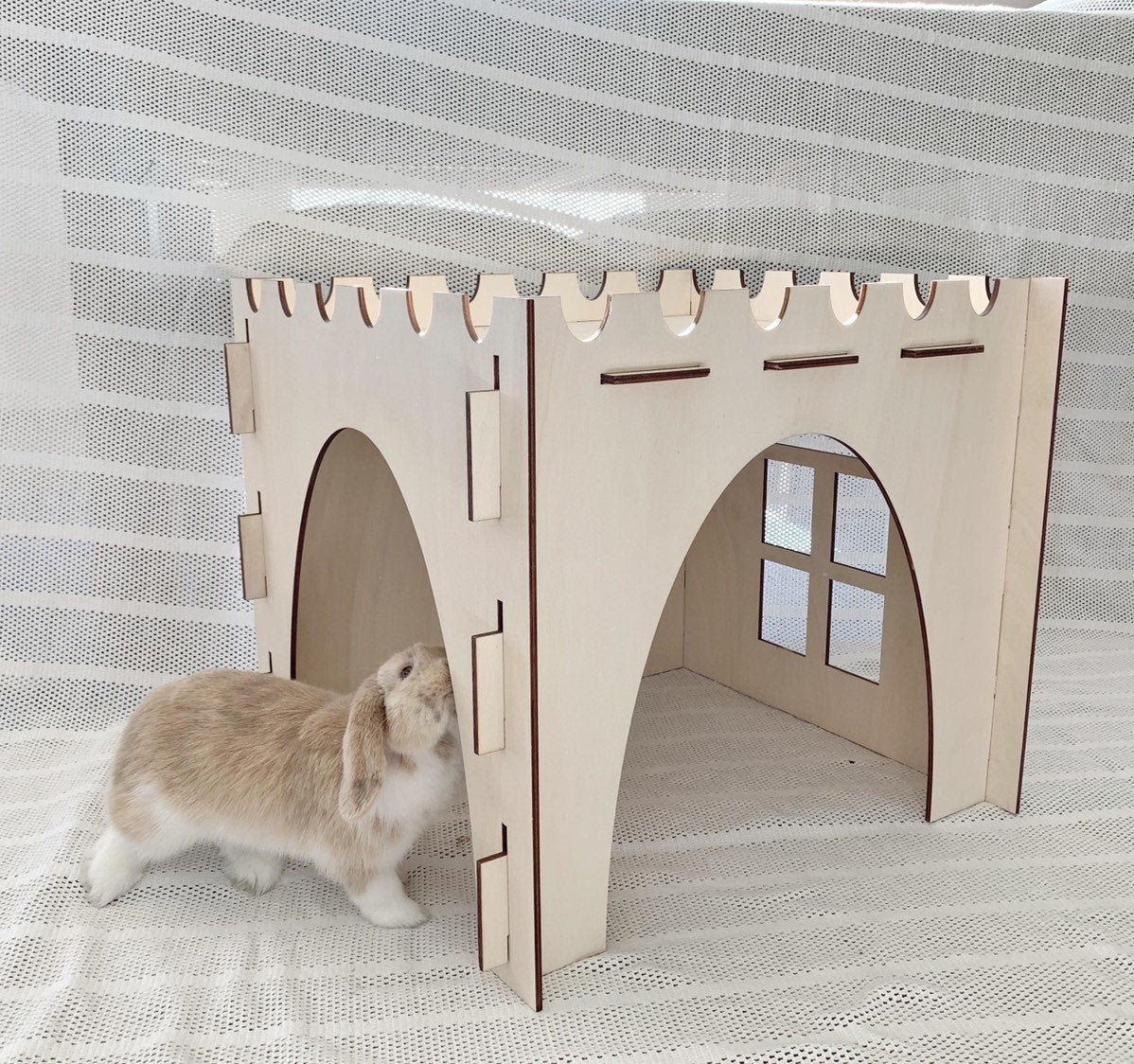 Giant Cosy’s Castle