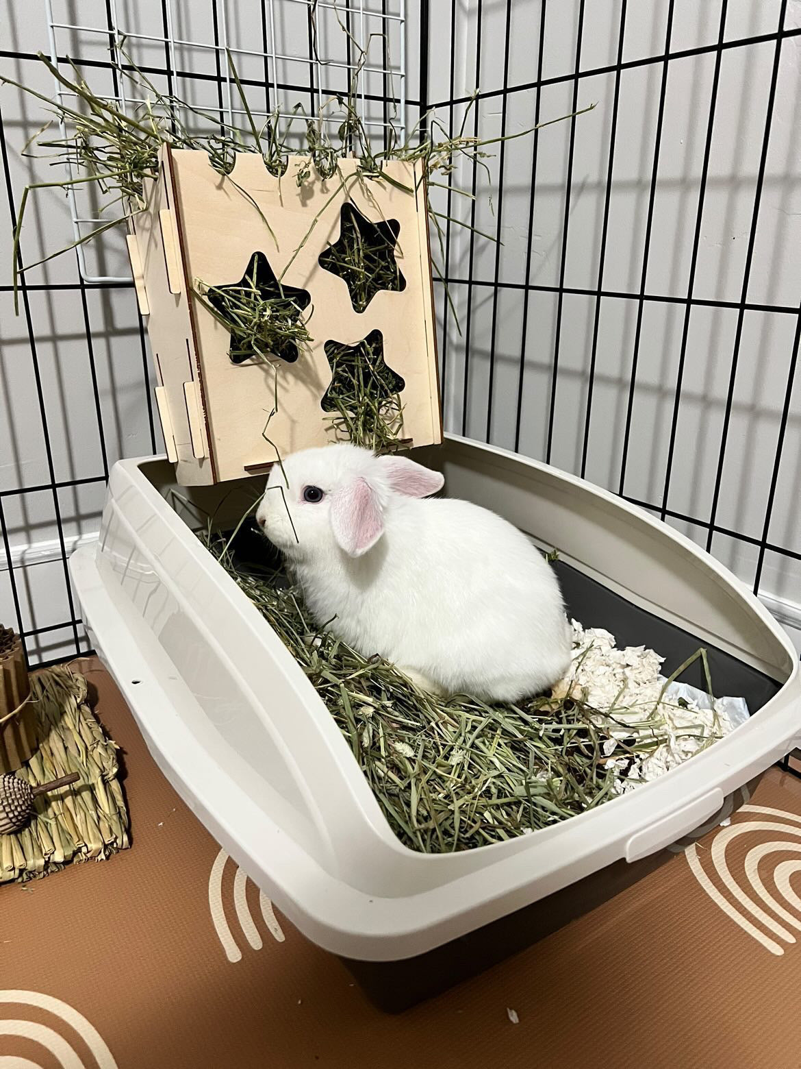Essential Hay Rack